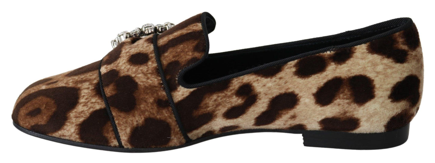 Dolce & Gabbana Leopard Print Crystal Embellished Loafers - Arichezz.store