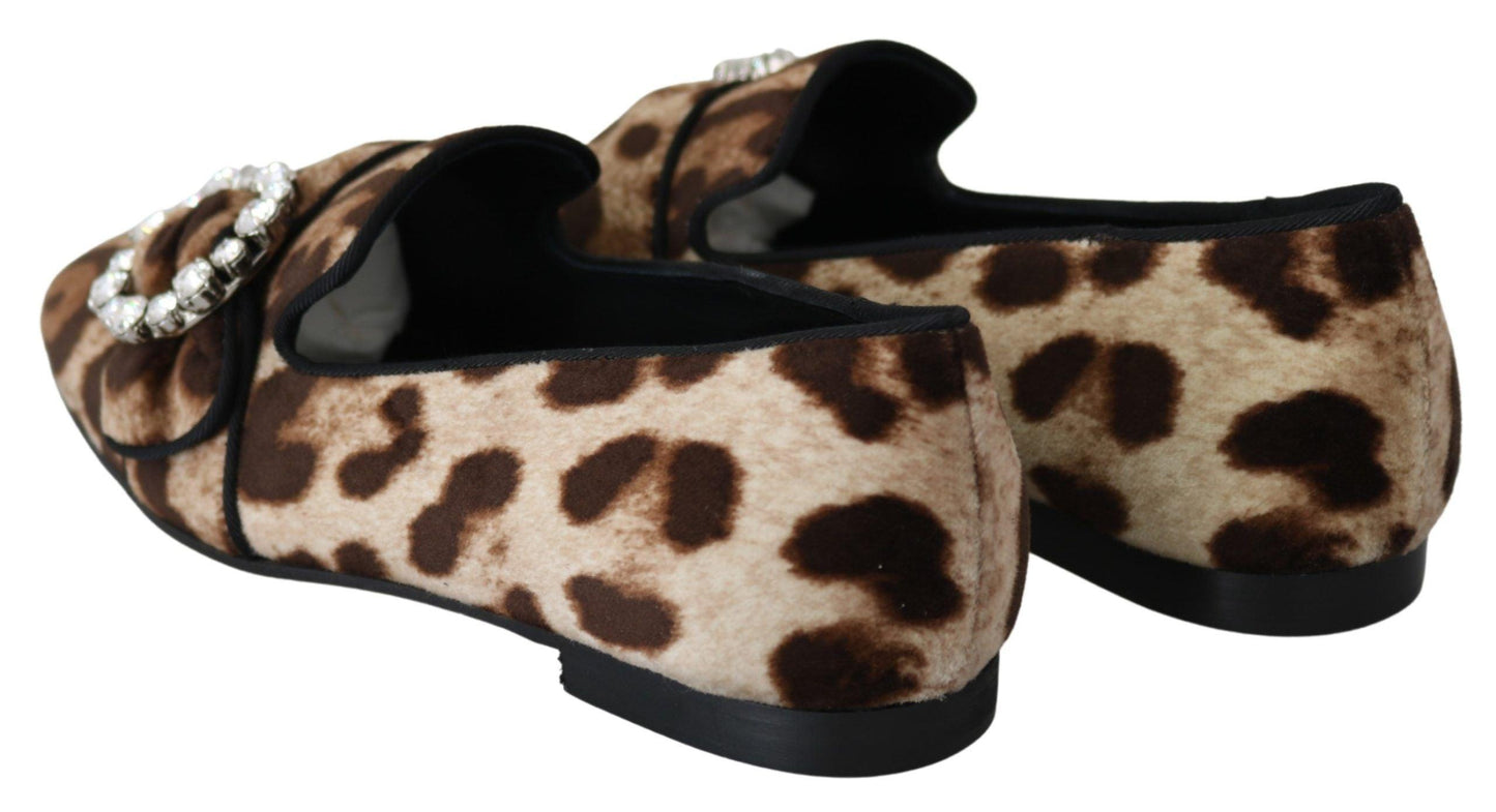 Dolce & Gabbana Leopard Print Crystal Embellished Loafers - Arichezz.store