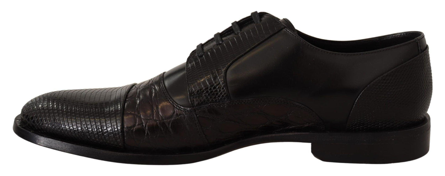 Dolce & Gabbana Elegant Black Derby Oxford Wingtips - Arichezz.store