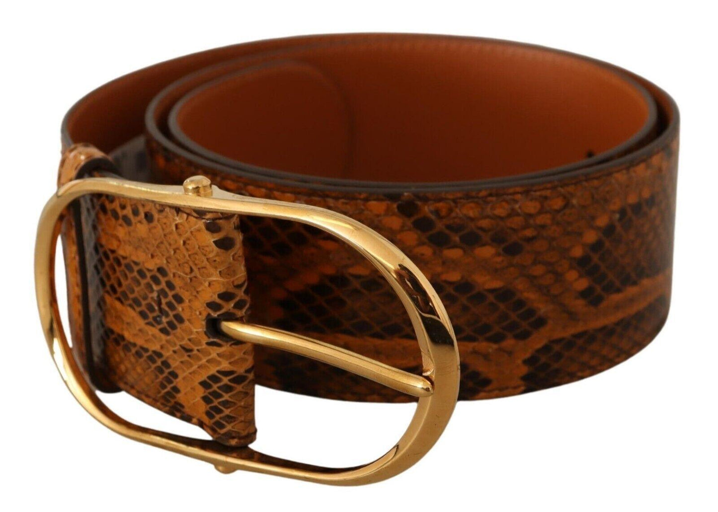 Dolce & Gabbana Elegant Python Skin Leather Belt - Arichezz.store