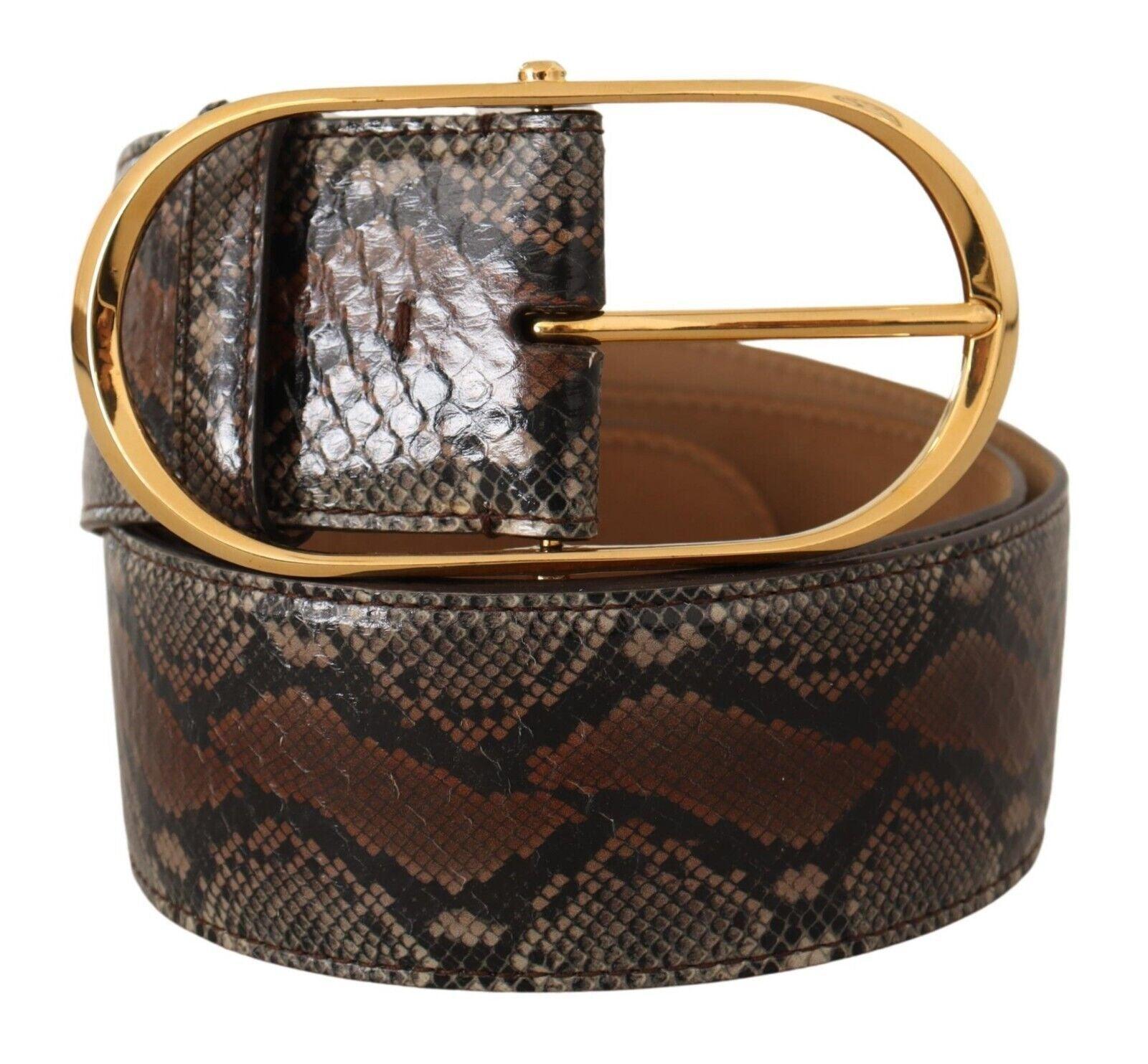 Dolce & Gabbana Elegant Brown Leather Belt with Gold Buckle - Arichezz.store