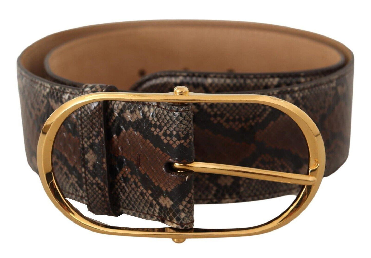 Dolce & Gabbana Elegant Brown Leather Belt with Gold Buckle - Arichezz.store