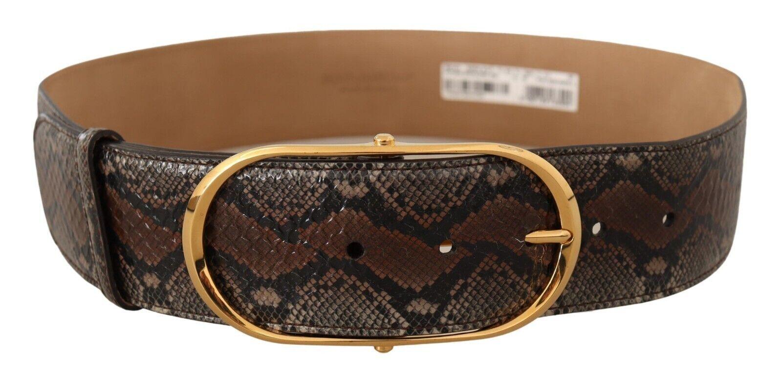 Dolce & Gabbana Elegant Brown Leather Belt with Gold Buckle - Arichezz.store