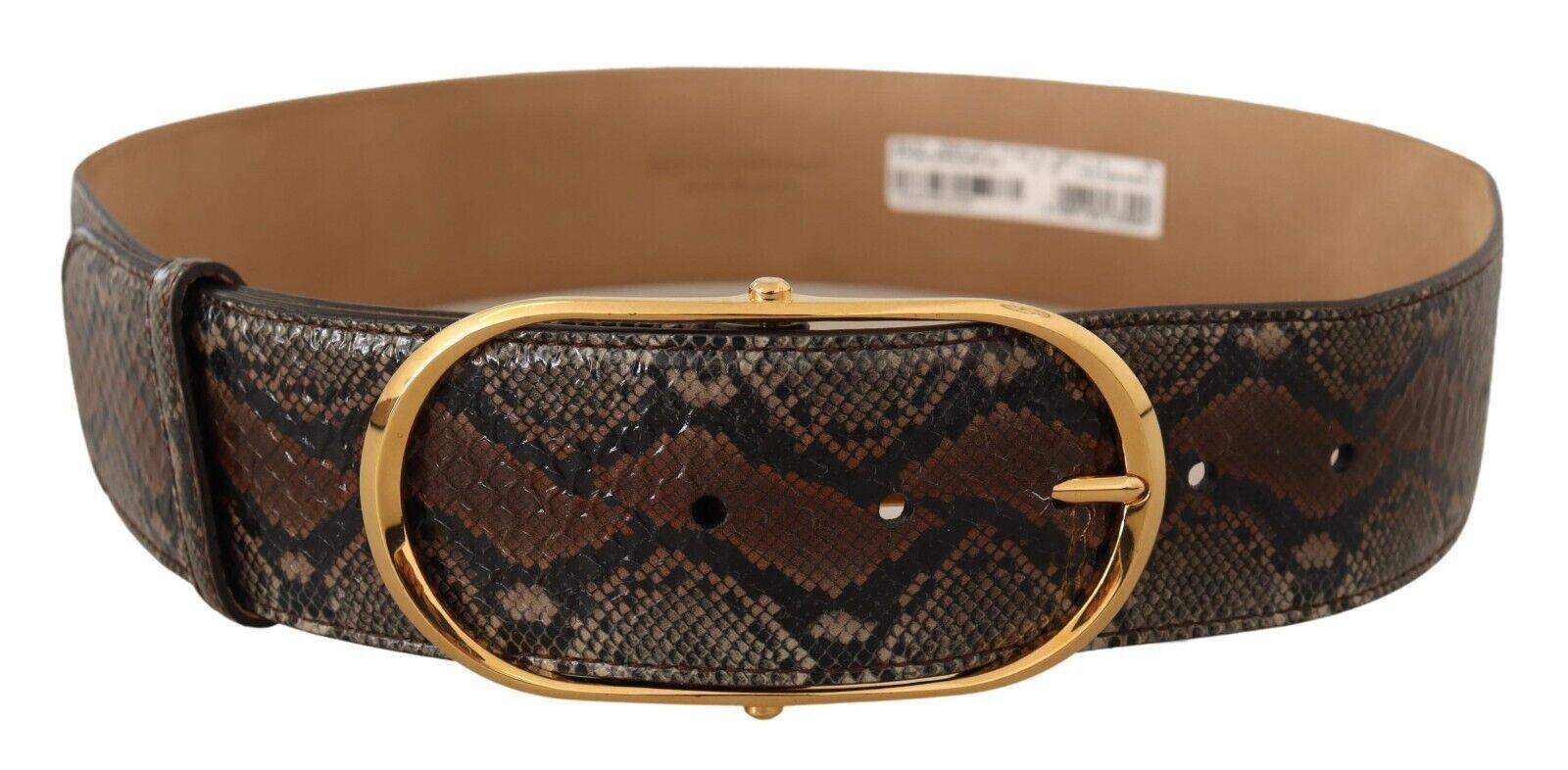 Dolce & Gabbana Elegant Brown Leather Belt with Gold Buckle - Arichezz.store