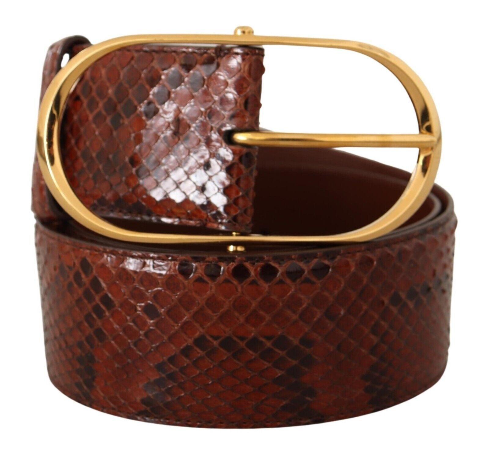 Dolce & Gabbana Elegant Python Snake Skin Leather Belt - Arichezz.store