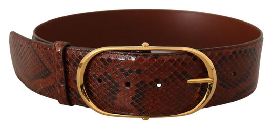 Dolce & Gabbana Elegant Python Snake Skin Leather Belt - Arichezz.store