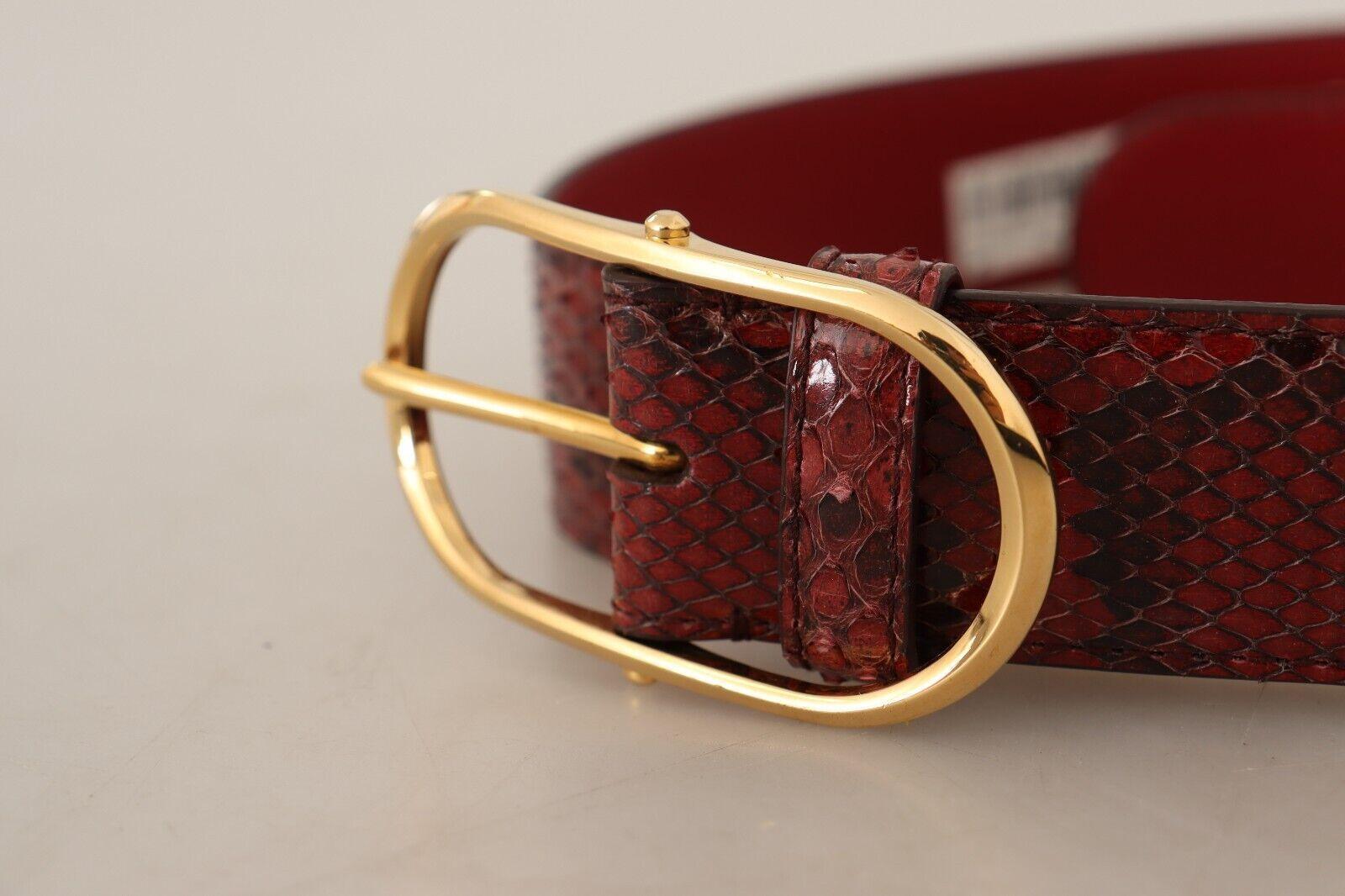 Dolce & Gabbana Elegant Red Snakeskin Leather Belt - Arichezz.store