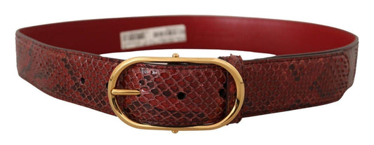 Dolce & Gabbana Elegant Red Snakeskin Leather Belt - Arichezz.store