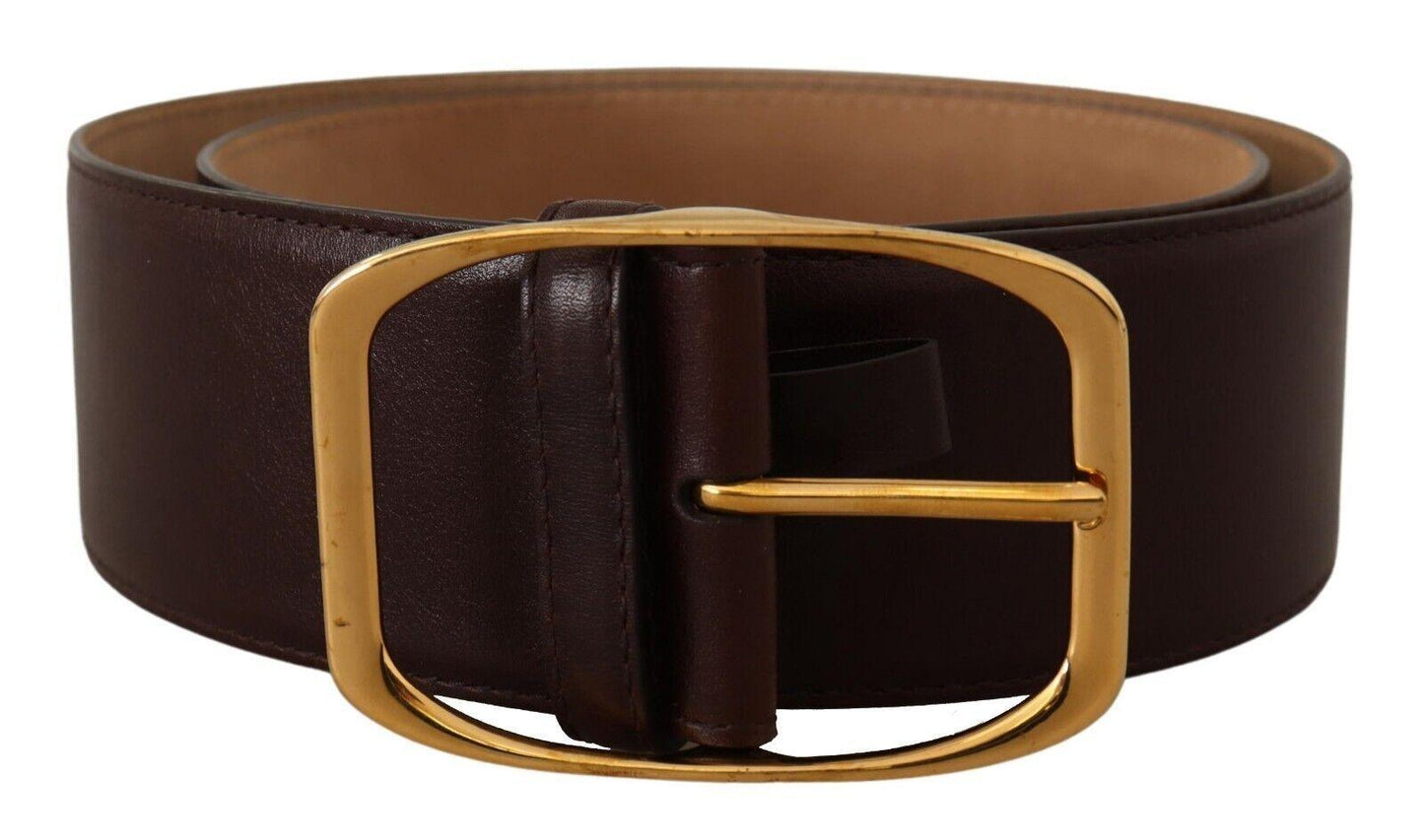 Dolce & Gabbana Elegant Dark Brown Leather Belt with Gold Buckle - Arichezz.store