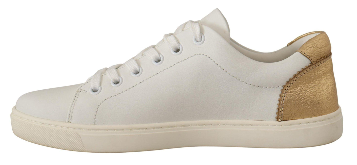 Dolce & Gabbana Elegant White Leather Sneakers with Gold Accents - Arichezz.store