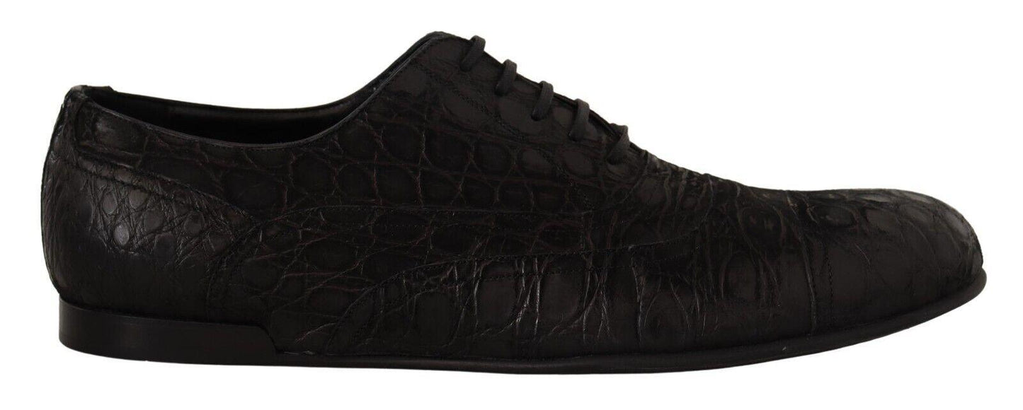 Dolce & Gabbana Elegant Exotic Leather Oxford Shoes - Arichezz.store