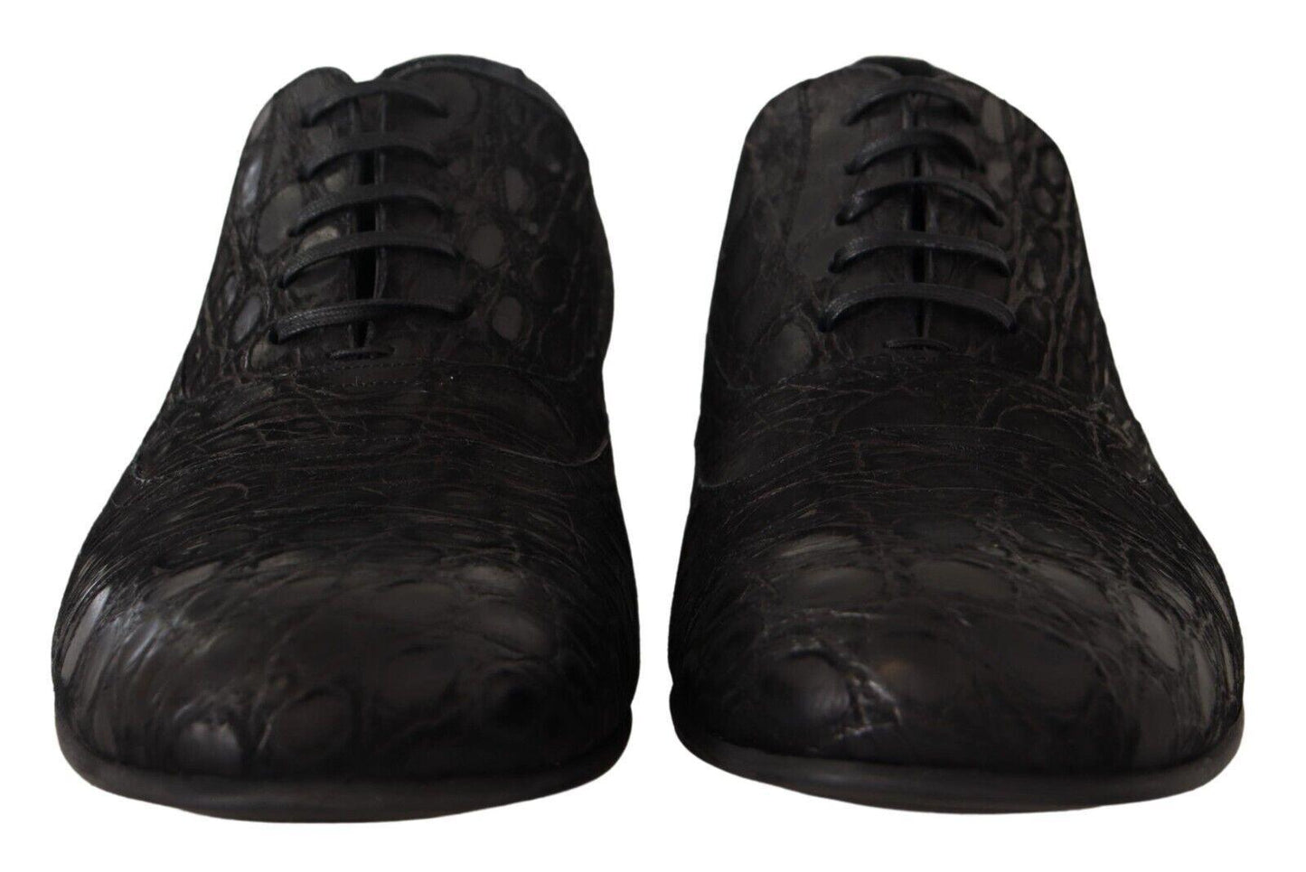 Dolce & Gabbana Elegant Exotic Leather Oxford Shoes - Arichezz.store