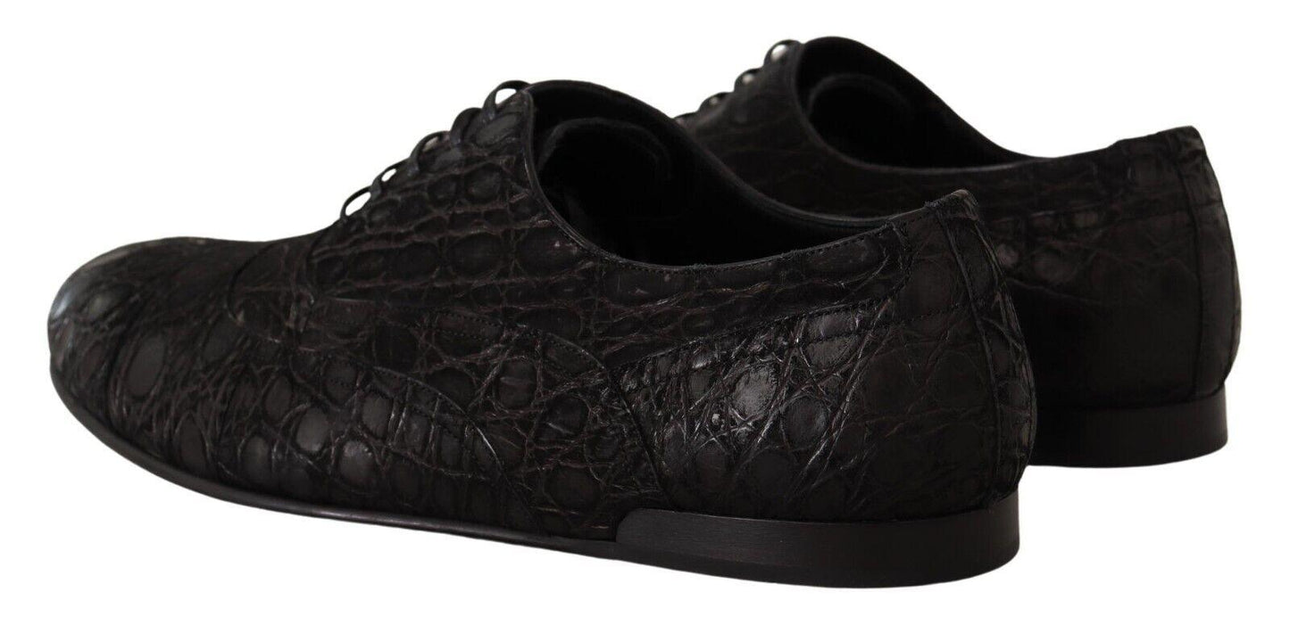 Dolce & Gabbana Elegant Exotic Leather Oxford Shoes - Arichezz.store