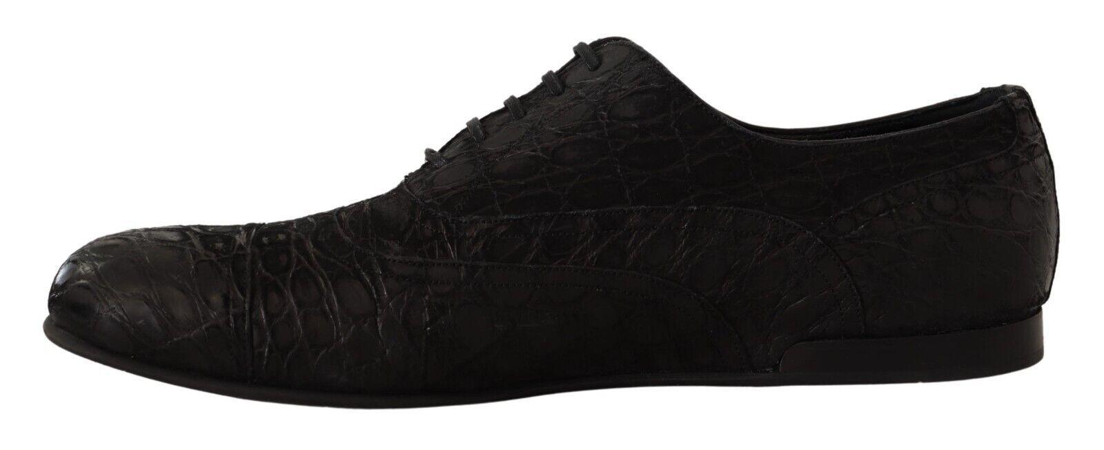 Dolce & Gabbana Elegant Exotic Leather Oxford Shoes - Arichezz.store