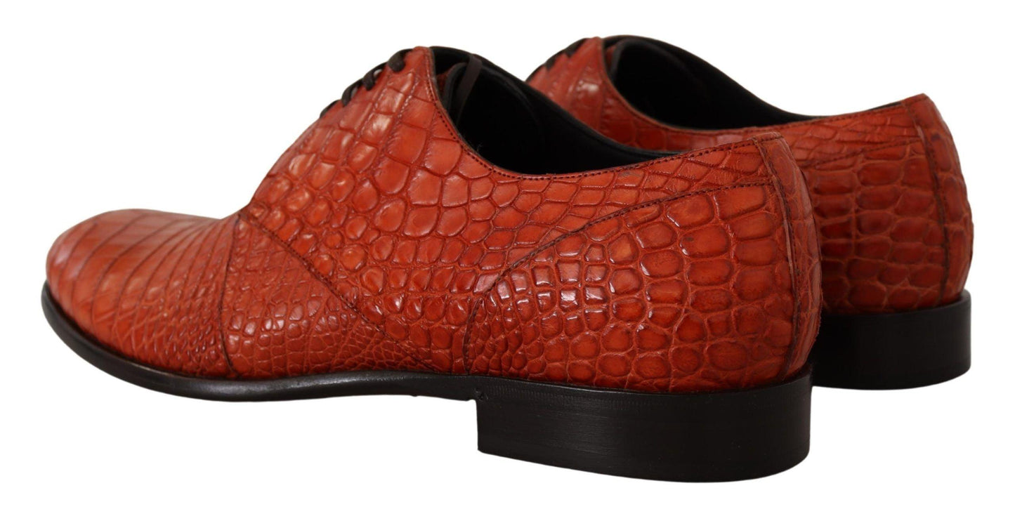 Dolce & Gabbana Exotic Orange Croc Leather Laceup Dress Shoes - Arichezz.store