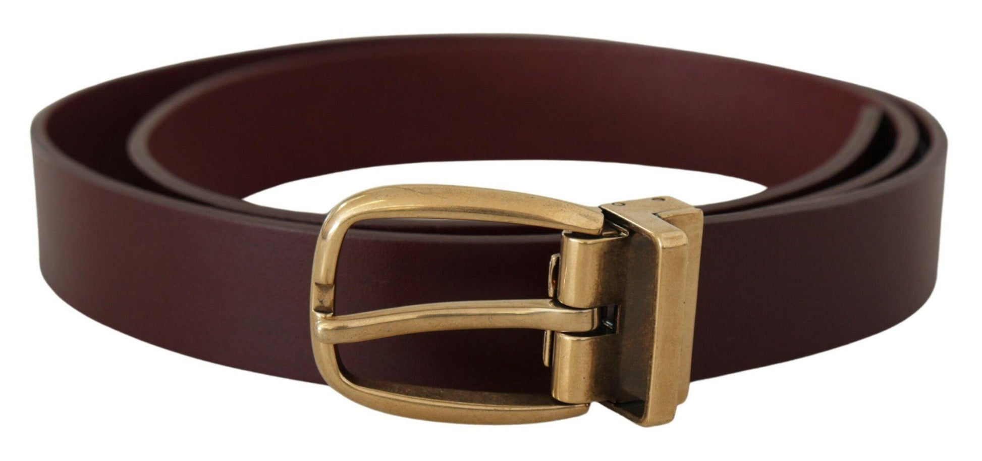 Dolce & Gabbana Elegant Brown Leather Belt with Gold Buckle - Arichezz.store