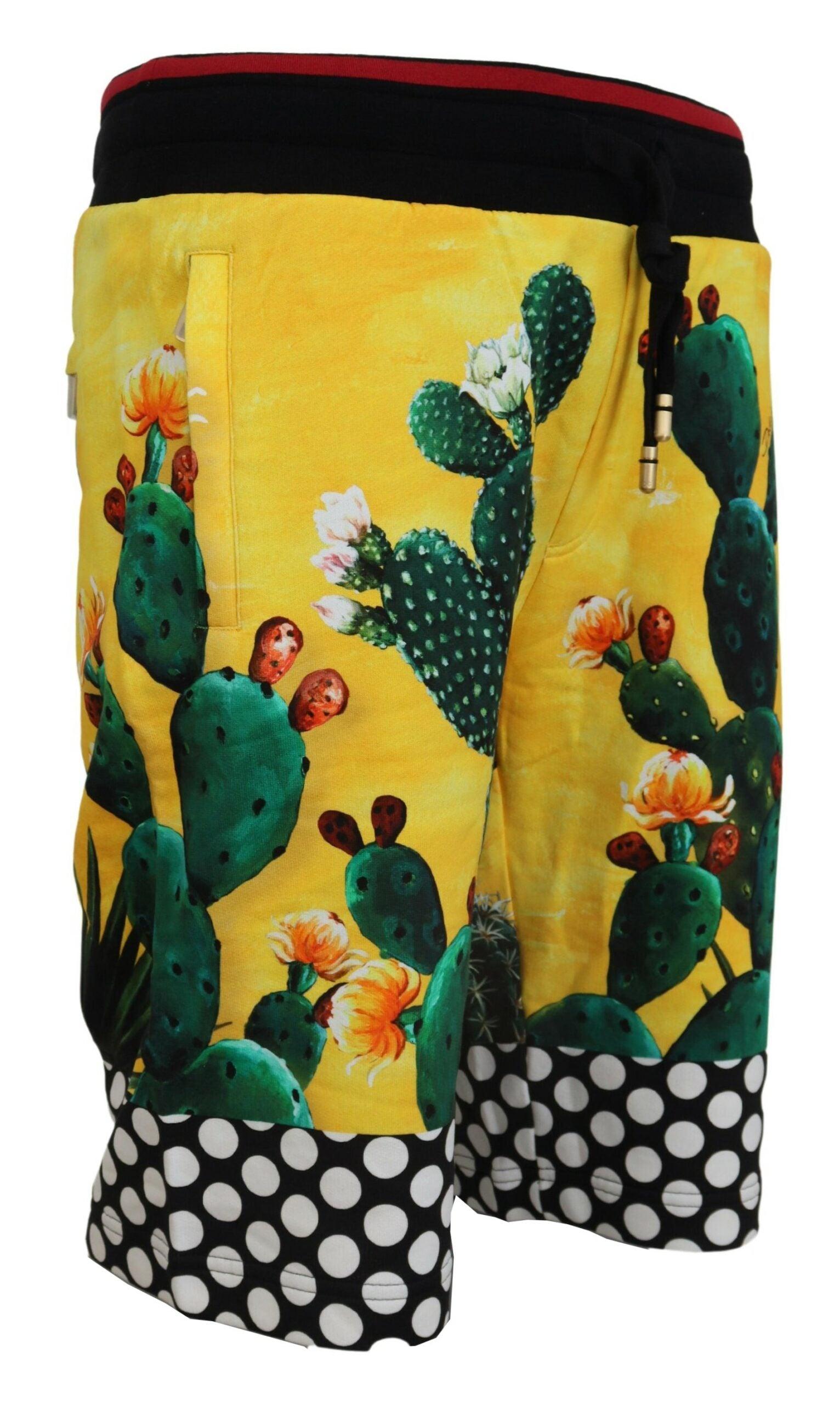 Dolce & Gabbana Multicolor Cactus Print Sweat Shorts - Arichezz.store