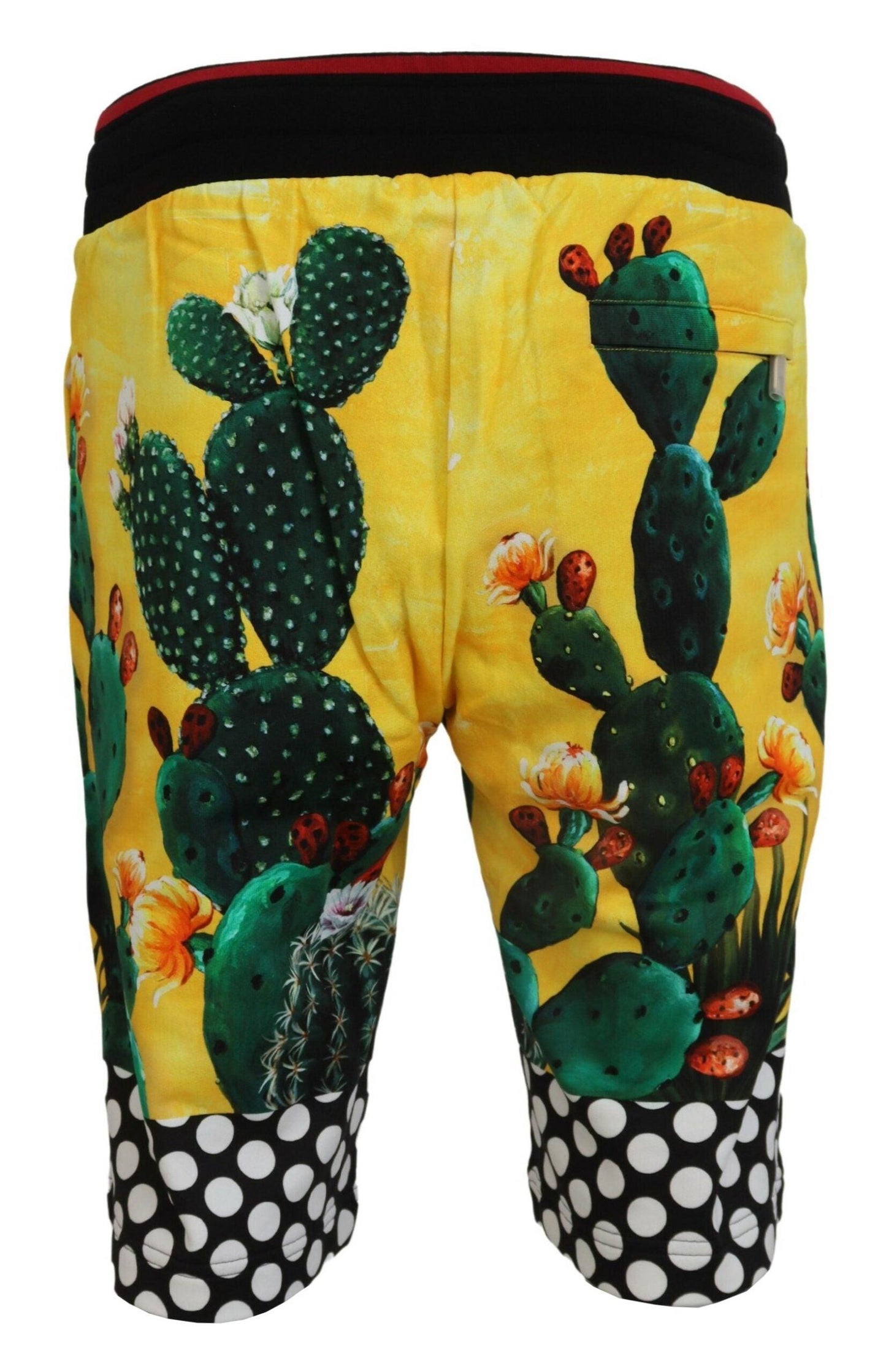 Dolce & Gabbana Multicolor Cactus Print Sweat Shorts - Arichezz.store