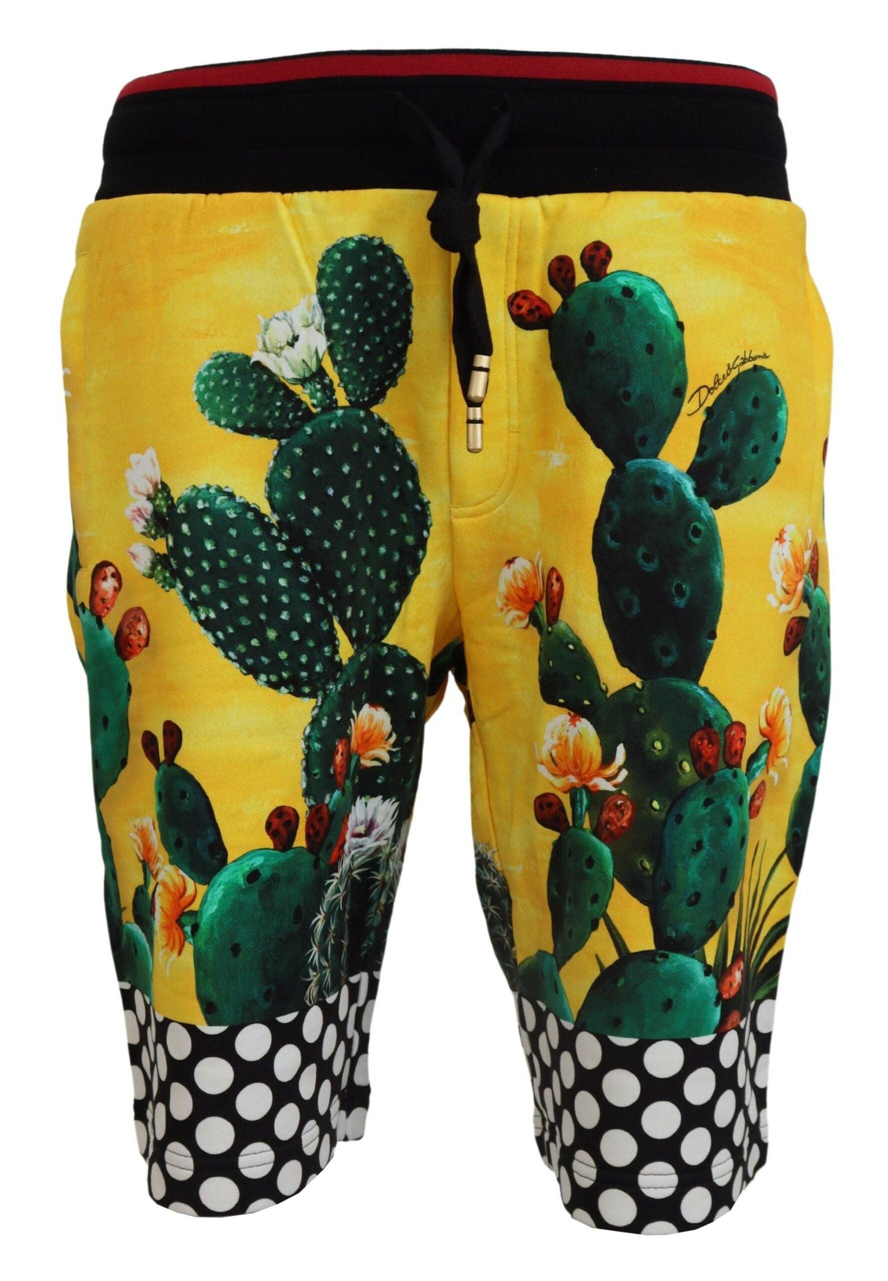 Dolce & Gabbana Multicolor Cactus Print Sweat Shorts - Arichezz.store