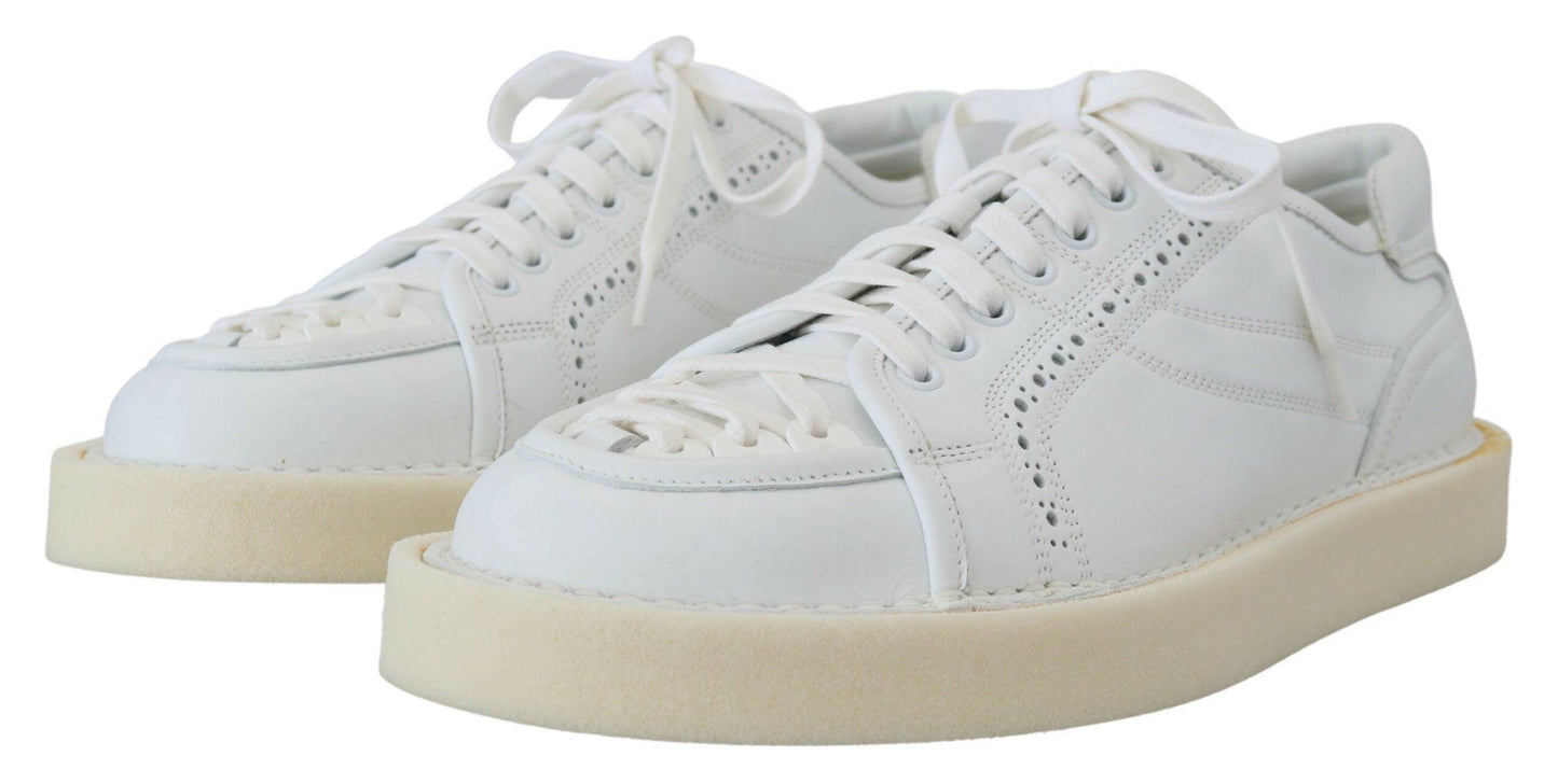 Dolce & Gabbana Elegant White Low Top Oxford Sneakers - Arichezz.store