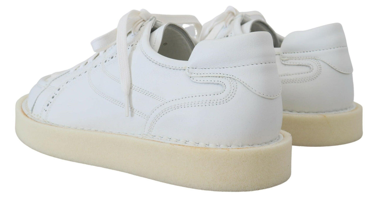 Dolce & Gabbana Elegant White Low Top Oxford Sneakers - Arichezz.store