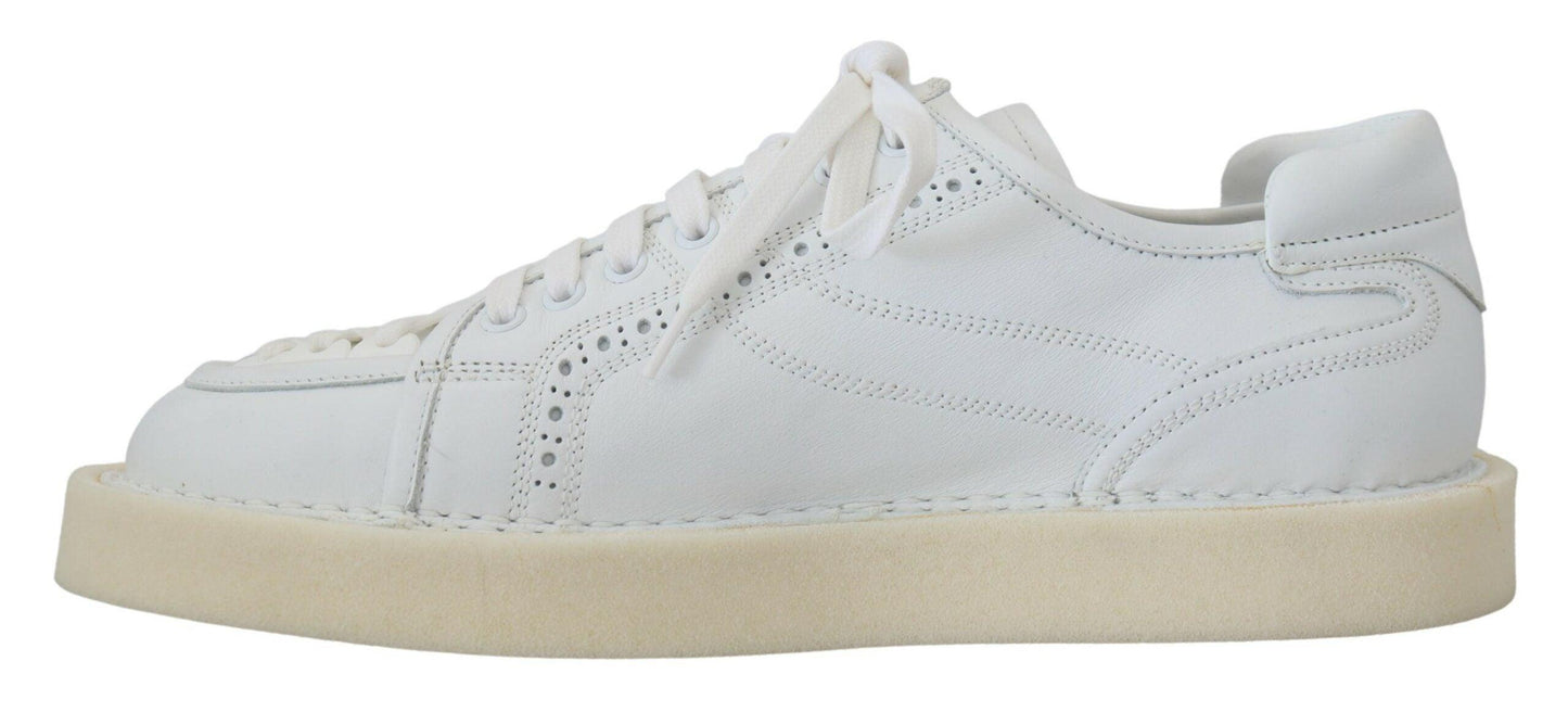 Dolce & Gabbana Elegant White Low Top Oxford Sneakers - Arichezz.store