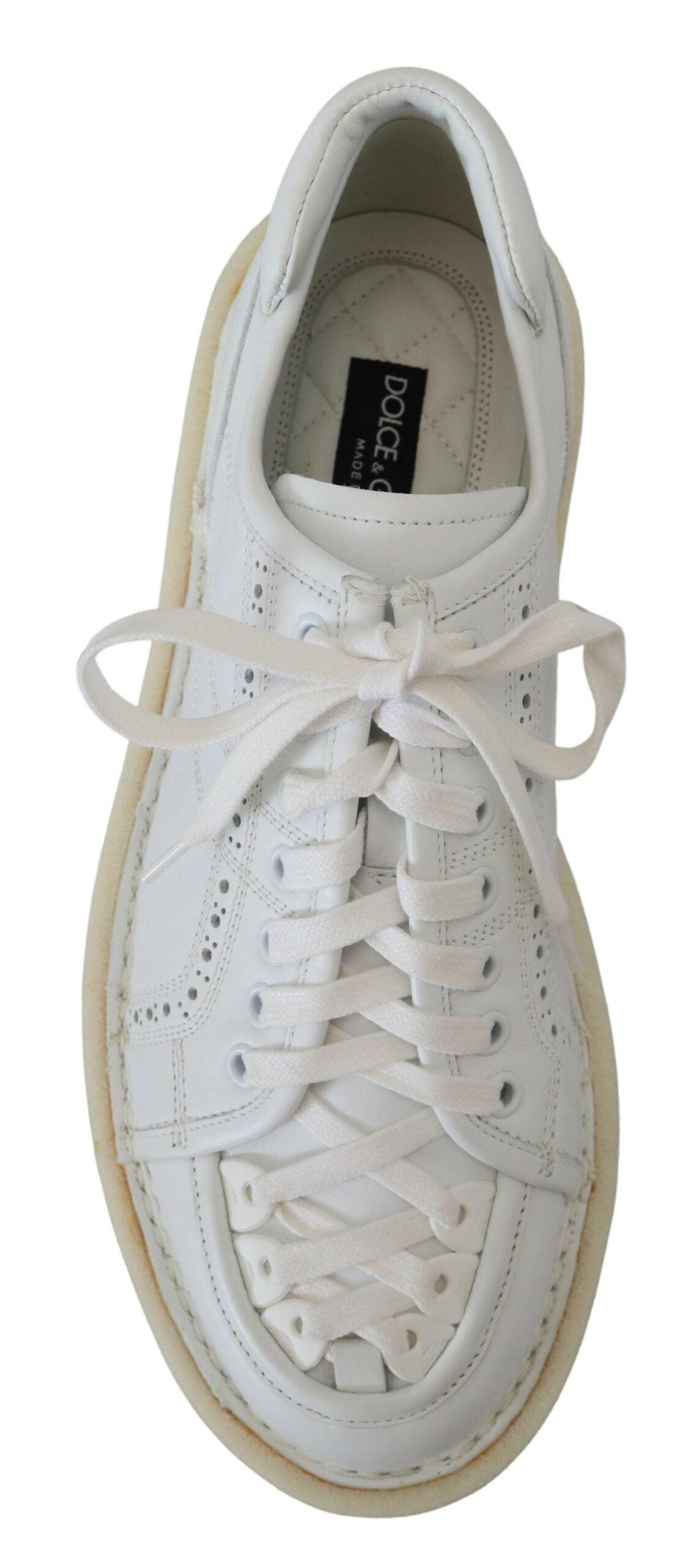 Dolce & Gabbana Elegant White Low Top Oxford Sneakers - Arichezz.store