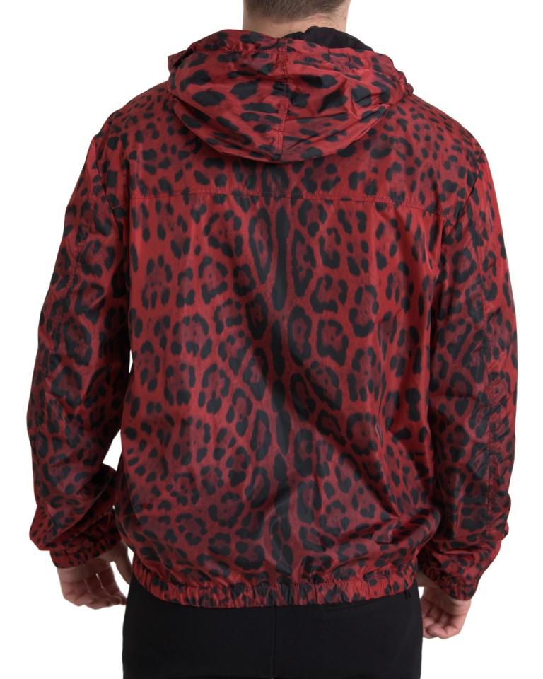 Dolce & Gabbana Red Leopard Hooded Bomber Jacket - Arichezz.store