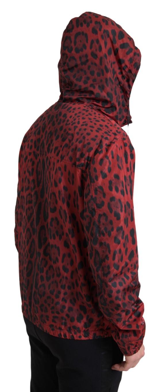 Dolce & Gabbana Red Leopard Hooded Bomber Jacket - Arichezz.store