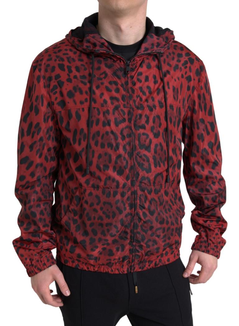 Dolce & Gabbana Red Leopard Hooded Bomber Jacket - Arichezz.store