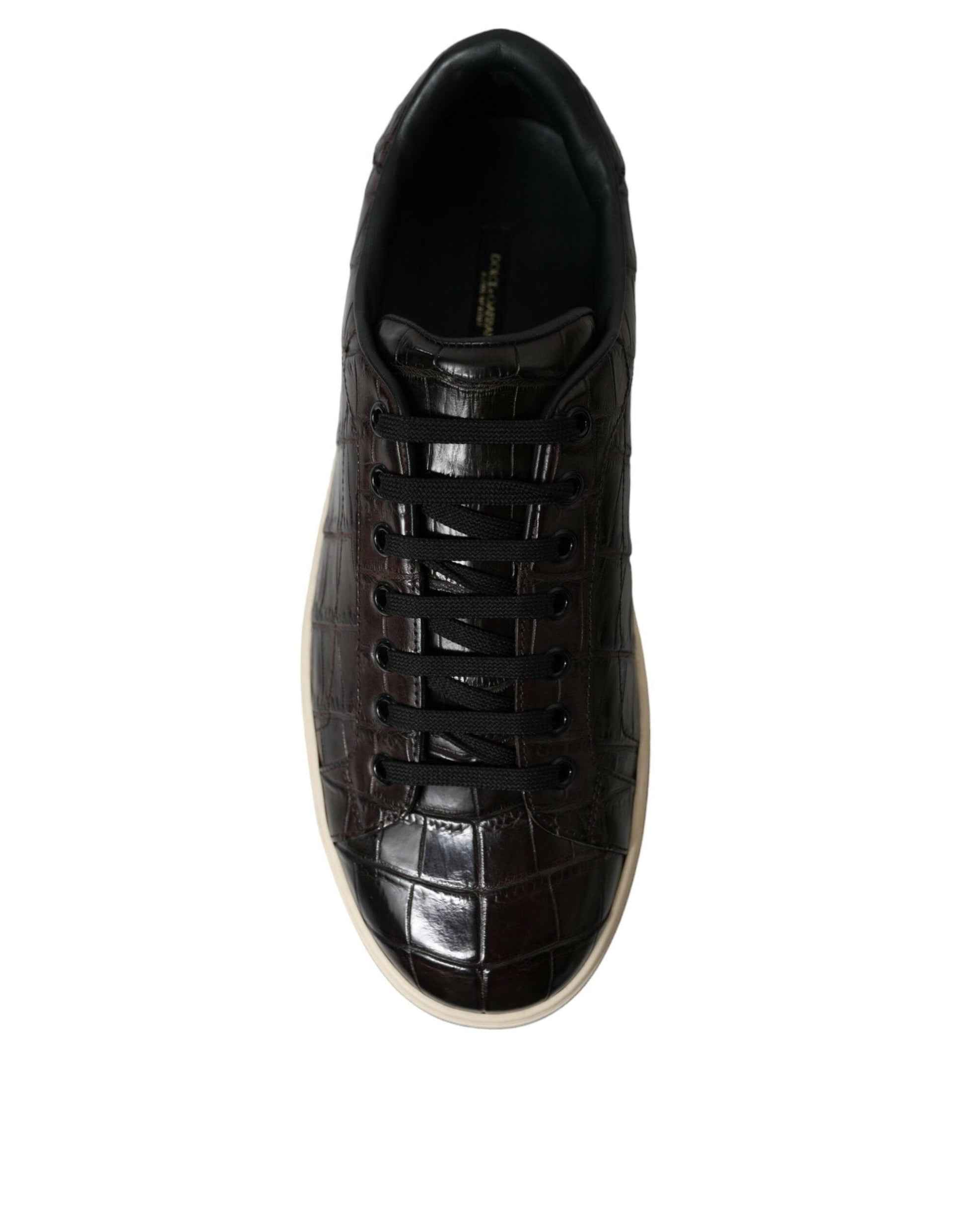 Dolce & Gabbana Elegant Exotic Leather Low-Top Sneakers - Arichezz.store