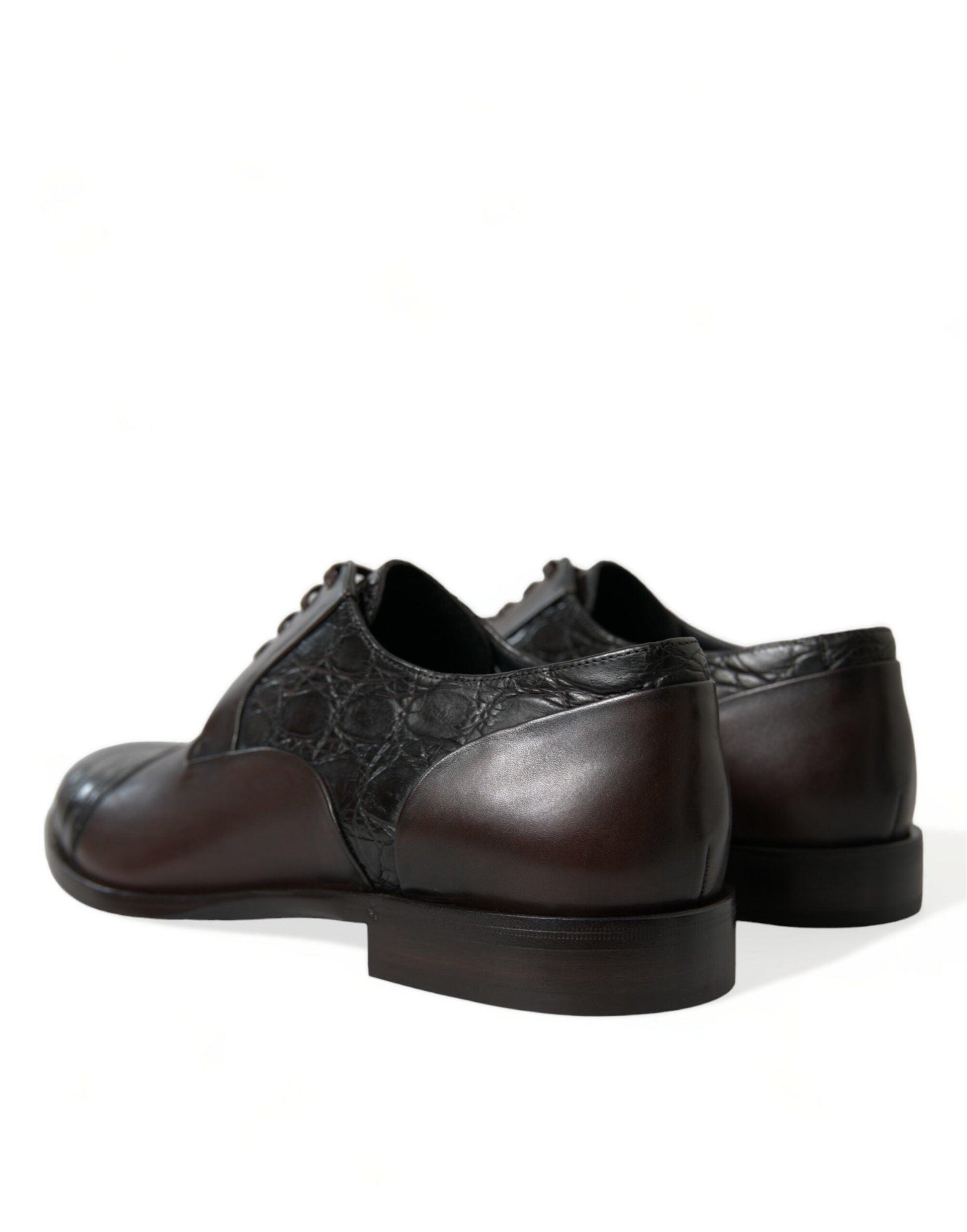 Dolce & Gabbana Elegant Brown Formal Derby Dress Shoes - Arichezz.store