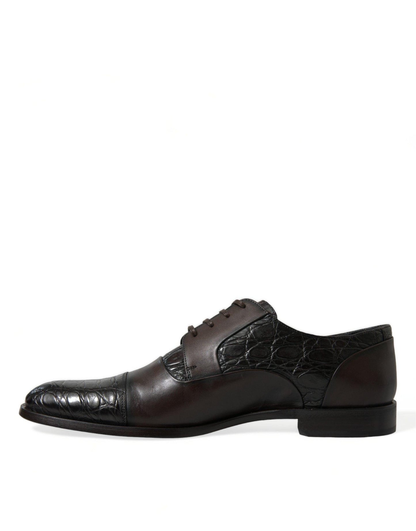 Dolce & Gabbana Elegant Brown Formal Derby Dress Shoes - Arichezz.store