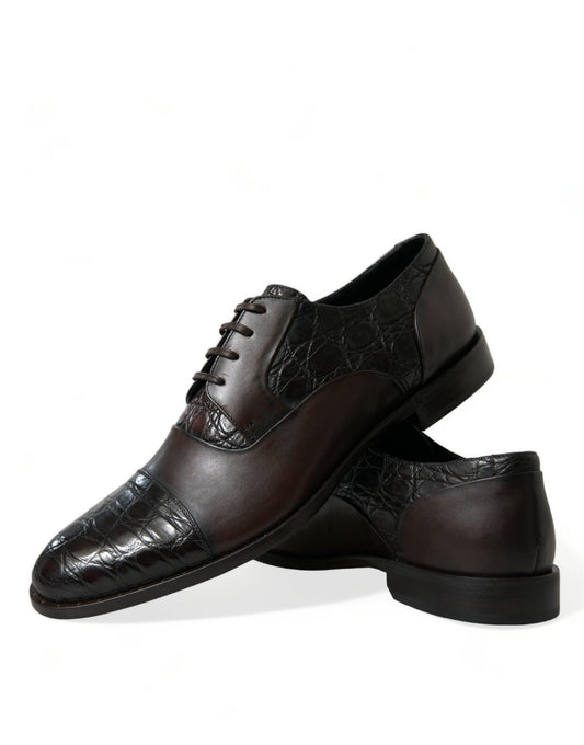 Dolce & Gabbana Elegant Brown Formal Derby Dress Shoes - Arichezz.store