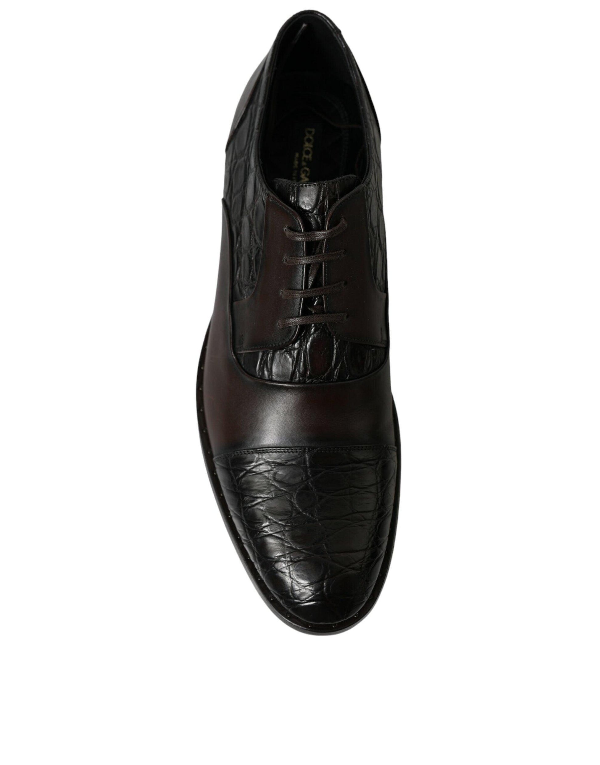 Dolce & Gabbana Elegant Brown Formal Derby Dress Shoes - Arichezz.store