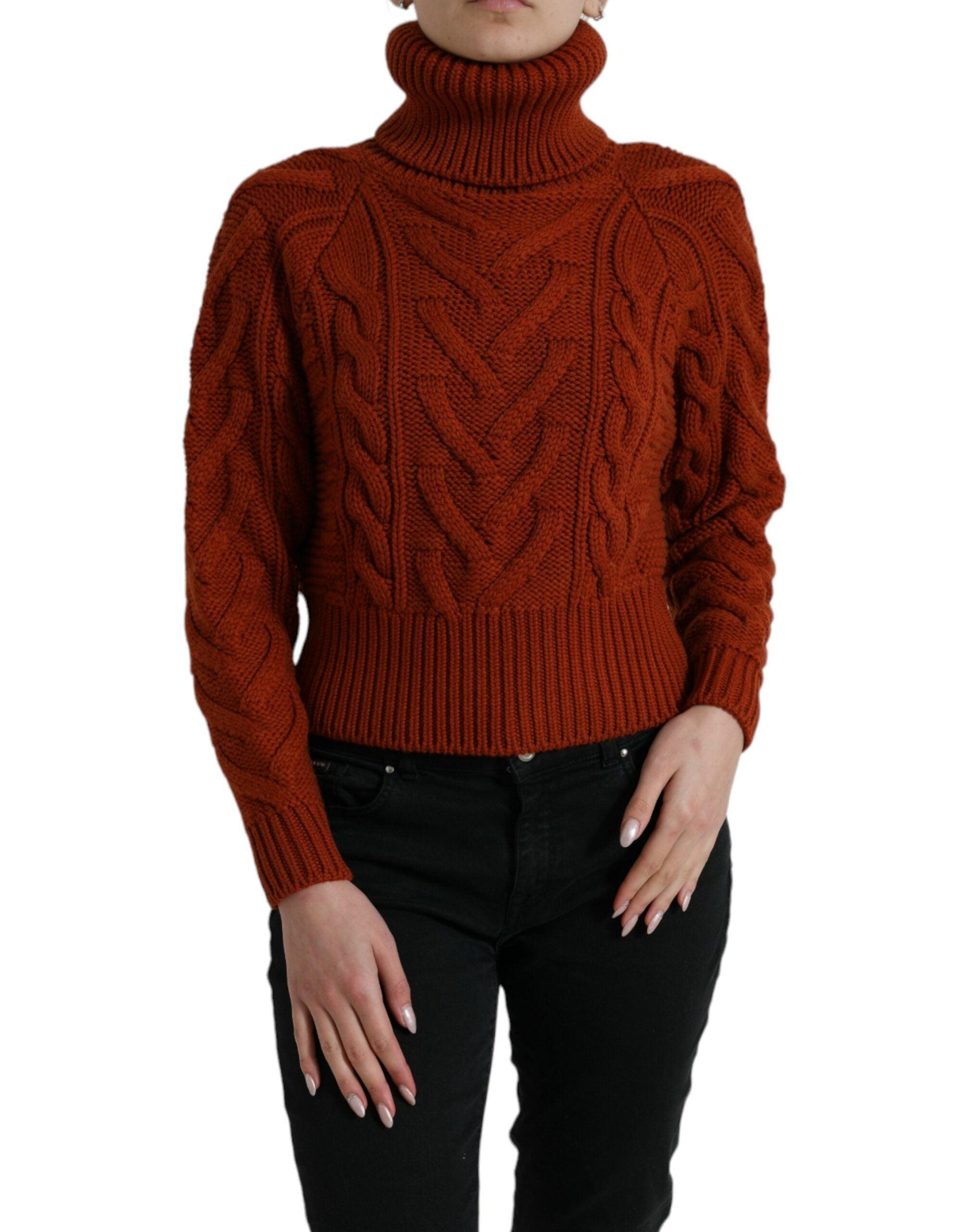 Dolce & Gabbana Elegant Brown Turtleneck Wool Sweater - Arichezz.store