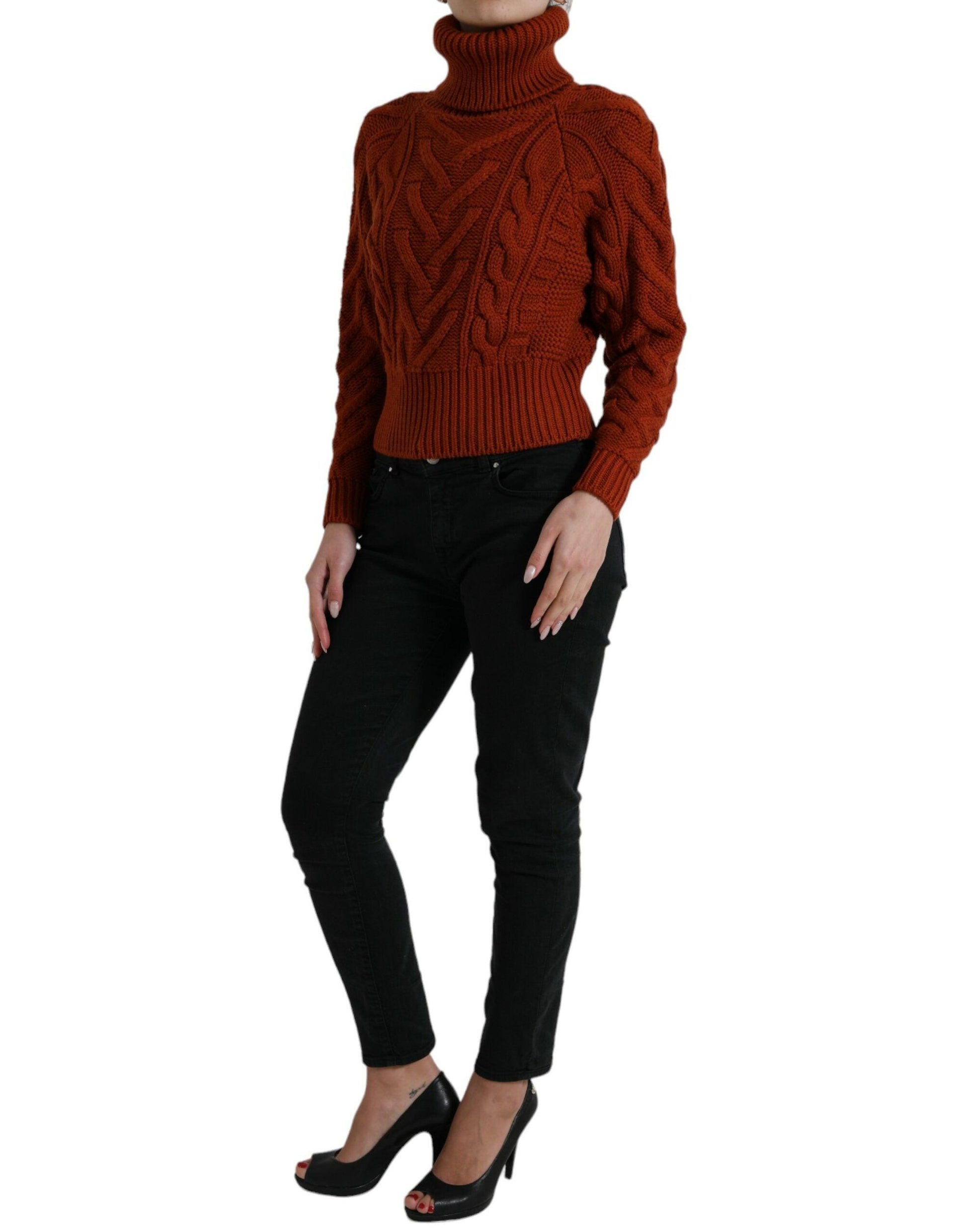 Dolce & Gabbana Elegant Brown Turtleneck Wool Sweater - Arichezz.store