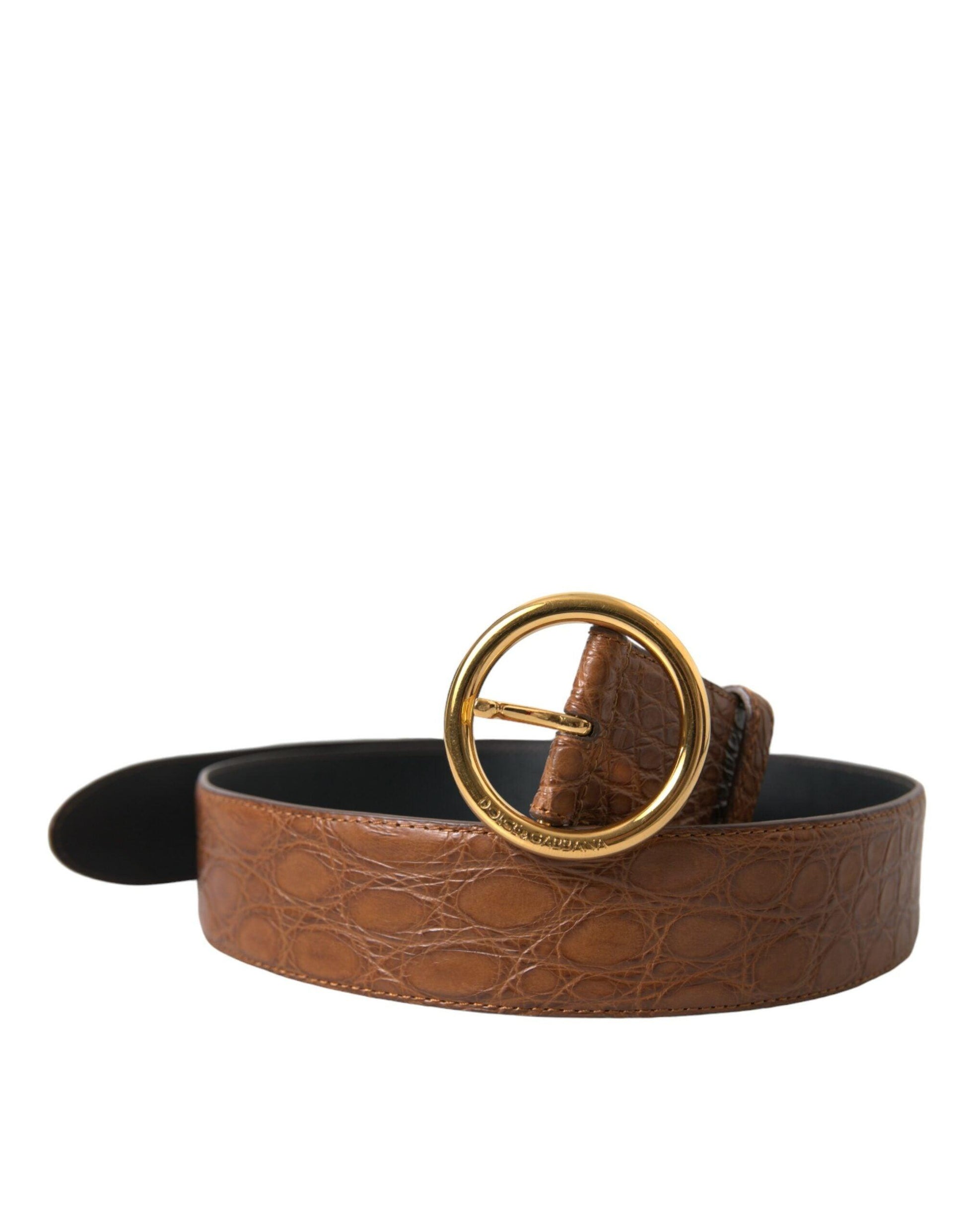 Dolce & Gabbana Elegant Exotic Leather Belt - Rich Brown - Arichezz.store