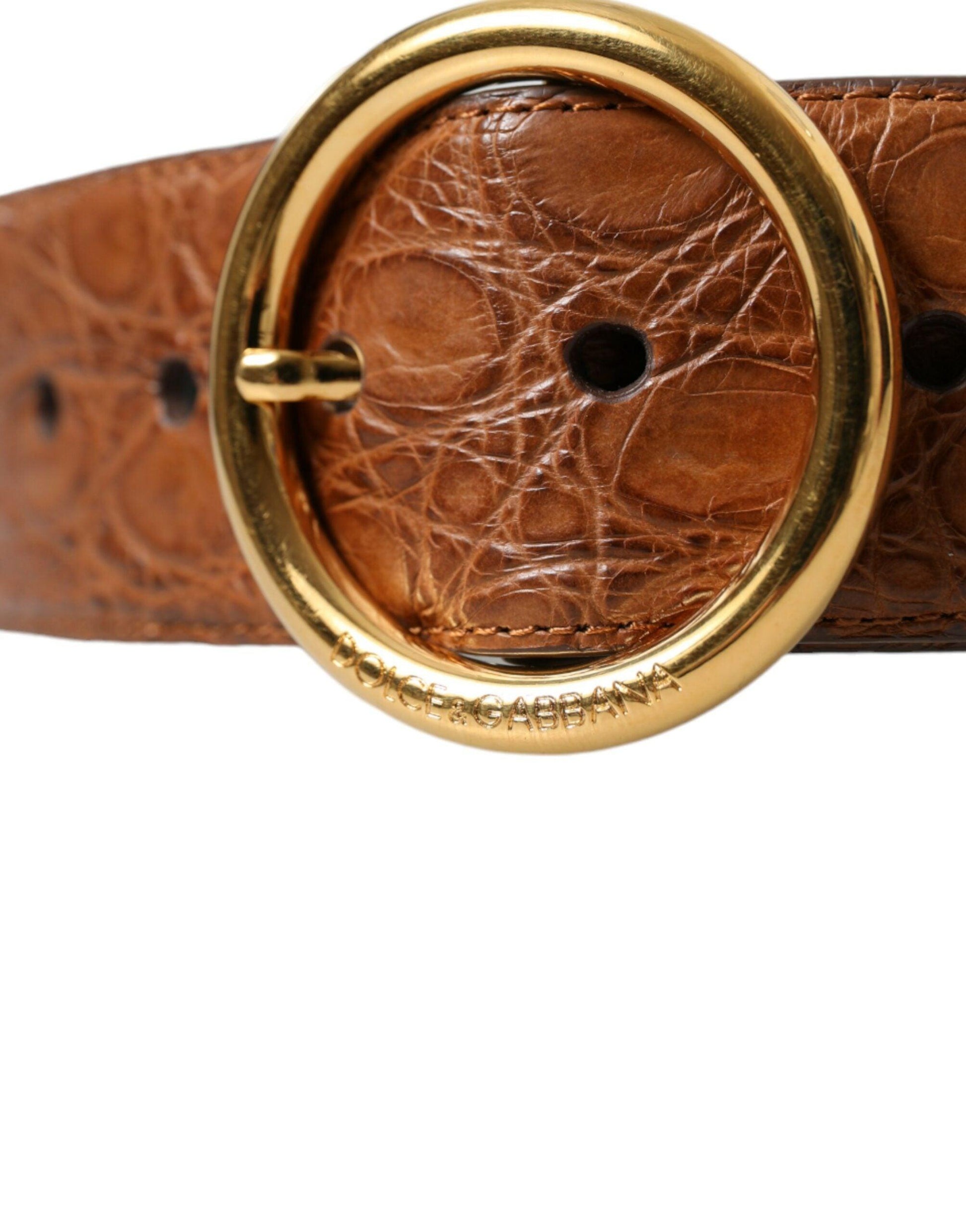 Dolce & Gabbana Elegant Exotic Leather Belt - Rich Brown - Arichezz.store