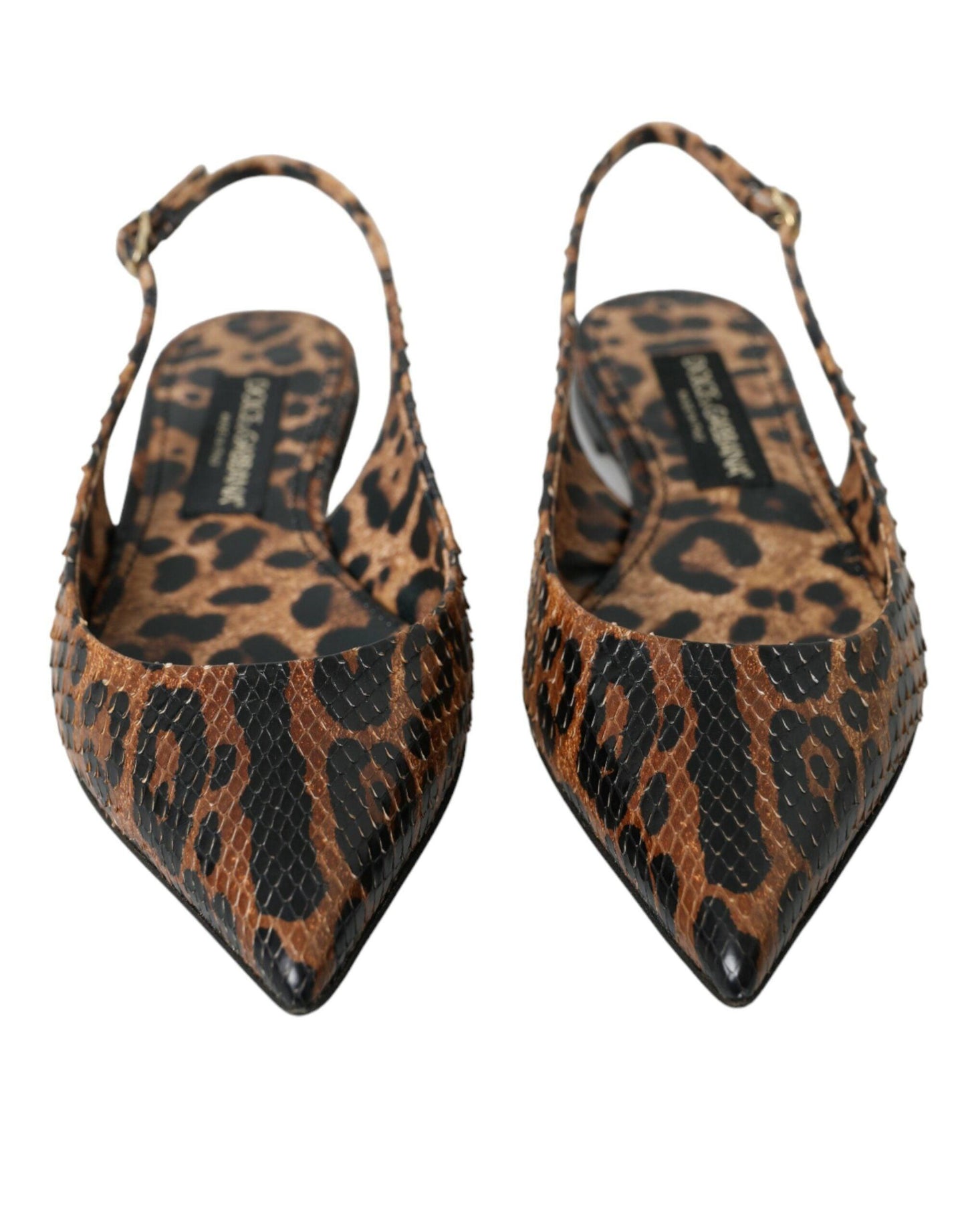 Dolce & Gabbana Brown Leopard Exotic Skin Slingback Shoes - Arichezz.store