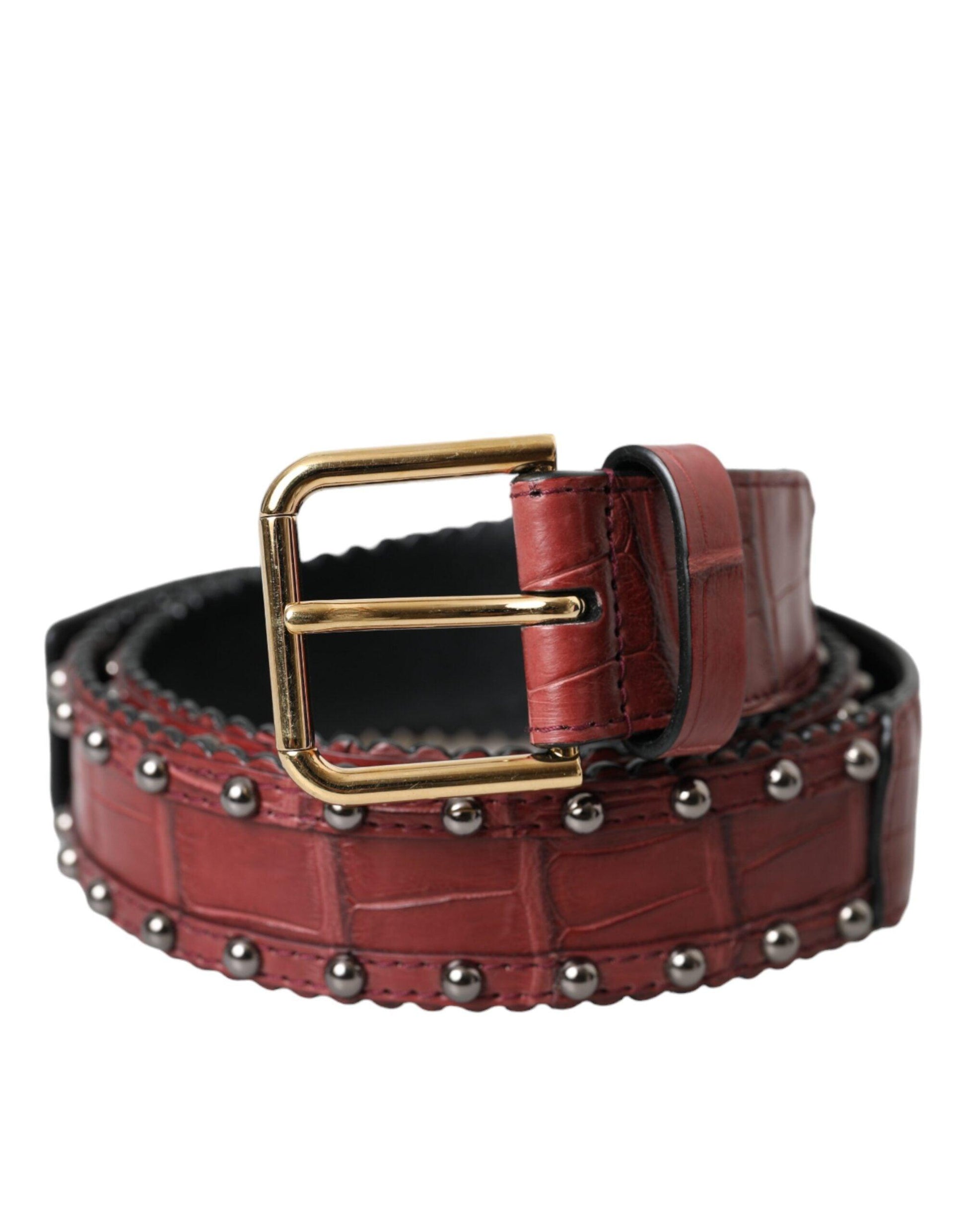 Dolce & Gabbana Brown Alligator Leather Studded Metal Buckle Belt - Arichezz.store