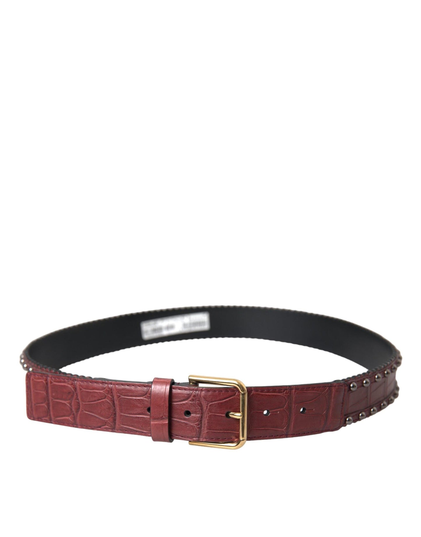 Dolce & Gabbana Brown Alligator Leather Studded Metal Buckle Belt - Arichezz.store