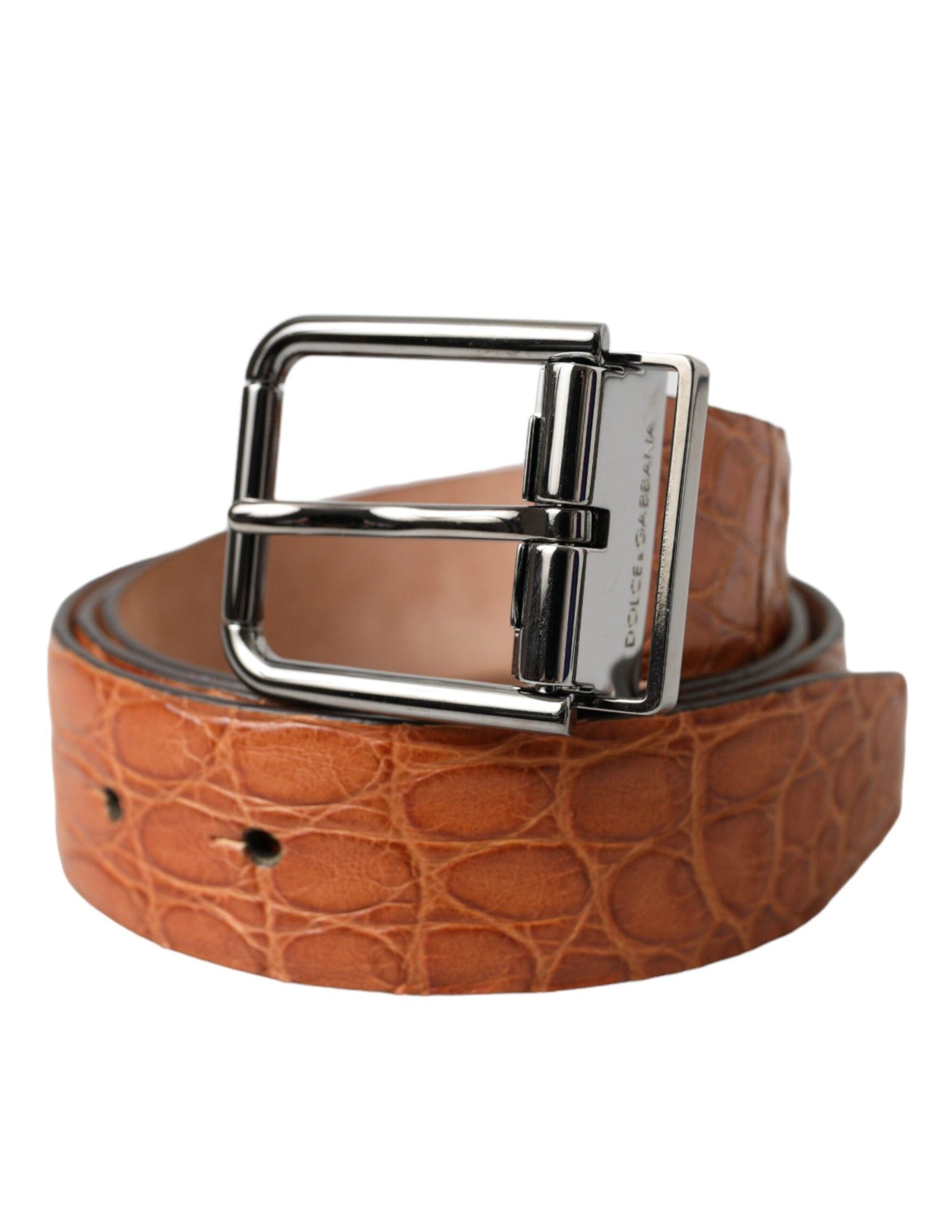 Dolce & Gabbana Brown Exotic Leather Silver Metal Buckle Belt - Arichezz.store