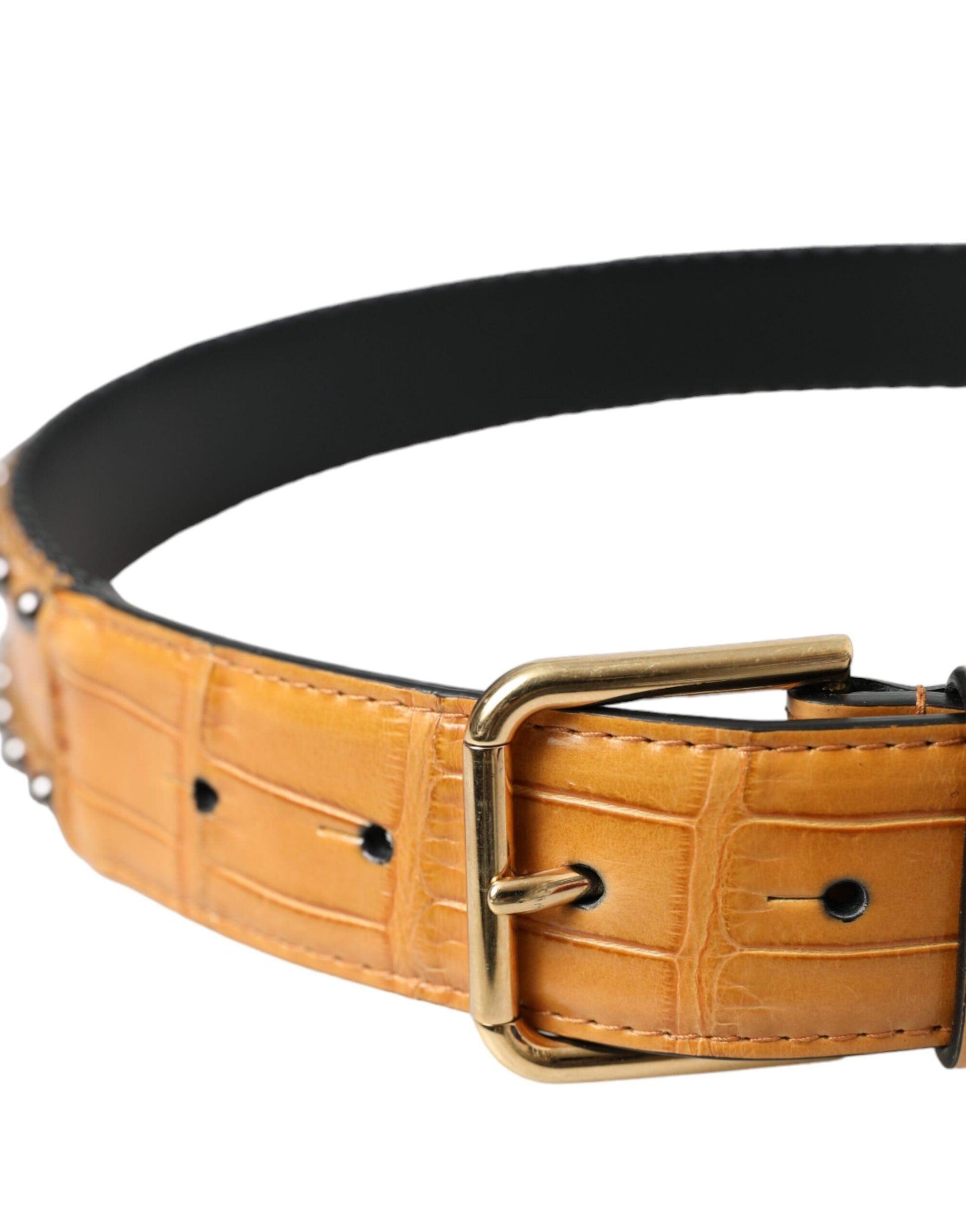 Dolce & Gabbana Beige Alligator Leather Studded Metal Buckle Belt - Arichezz.store