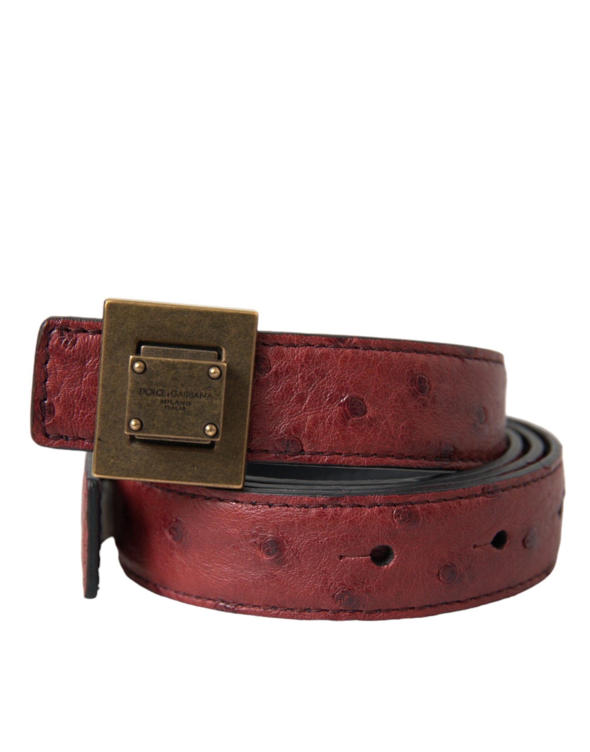 Dolce & Gabbana Brown Leather Square Metal Buckle Belt - Arichezz.store