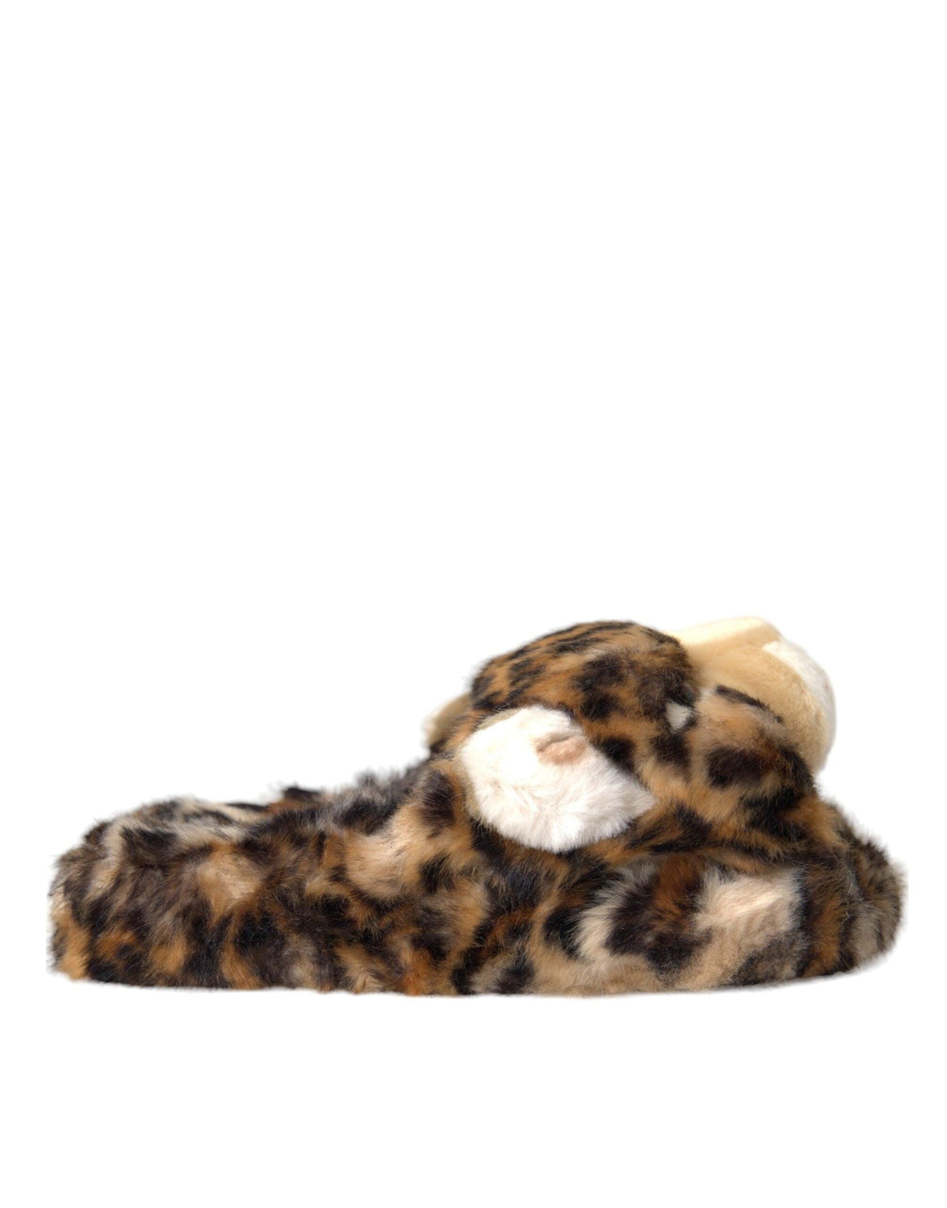 Dolce & Gabbana Brown Tiger Slippers Flats Sandals Shoes - Arichezz.store