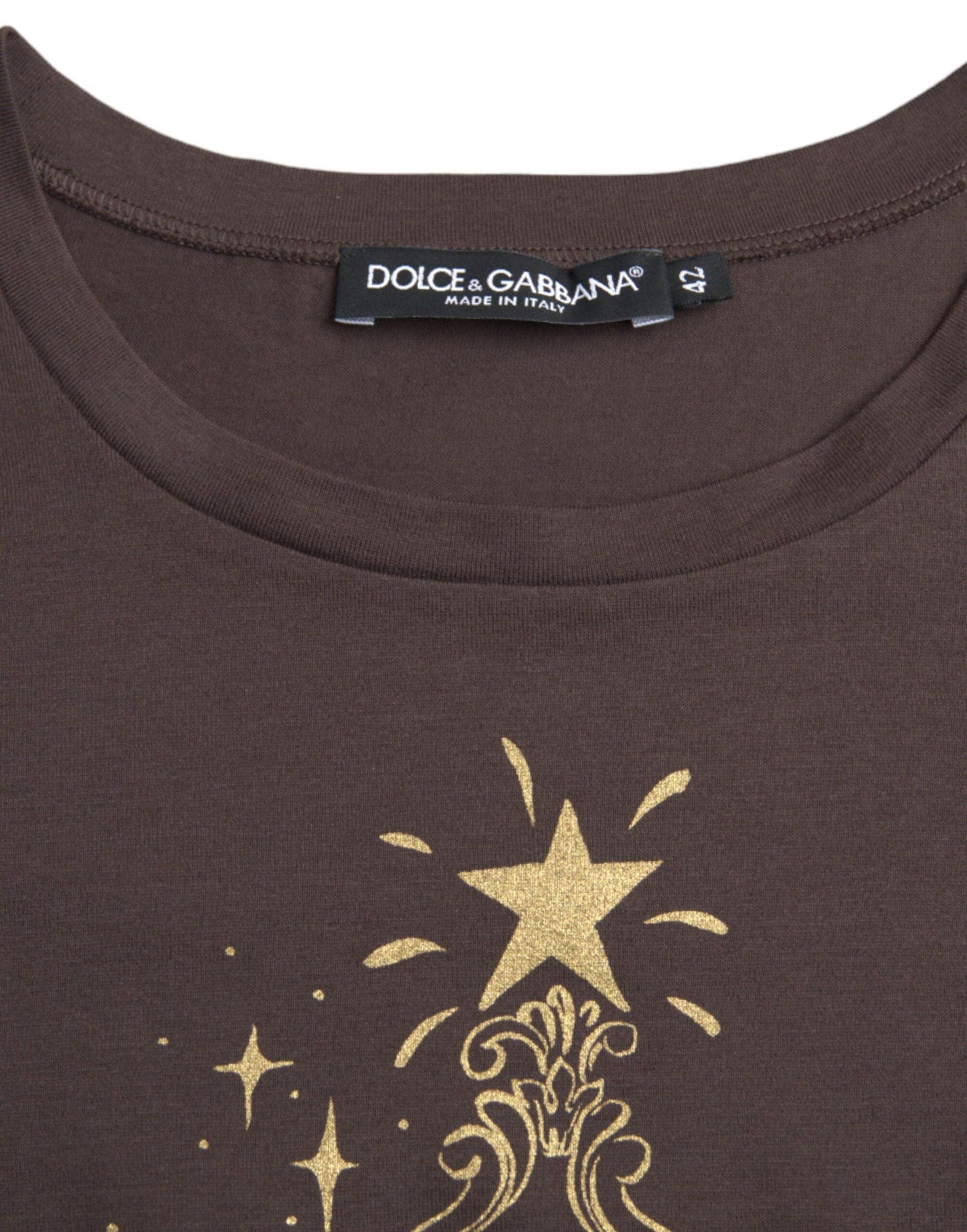 Dolce & Gabbana Brown Crewneck 2017 Motive Print T-shirt - Arichezz.store