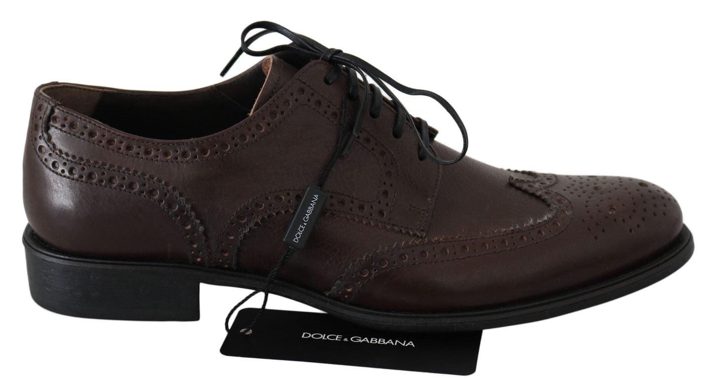 Dolce & Gabbana Elegant Brown Leather Derby Brogues - Arichezz.store