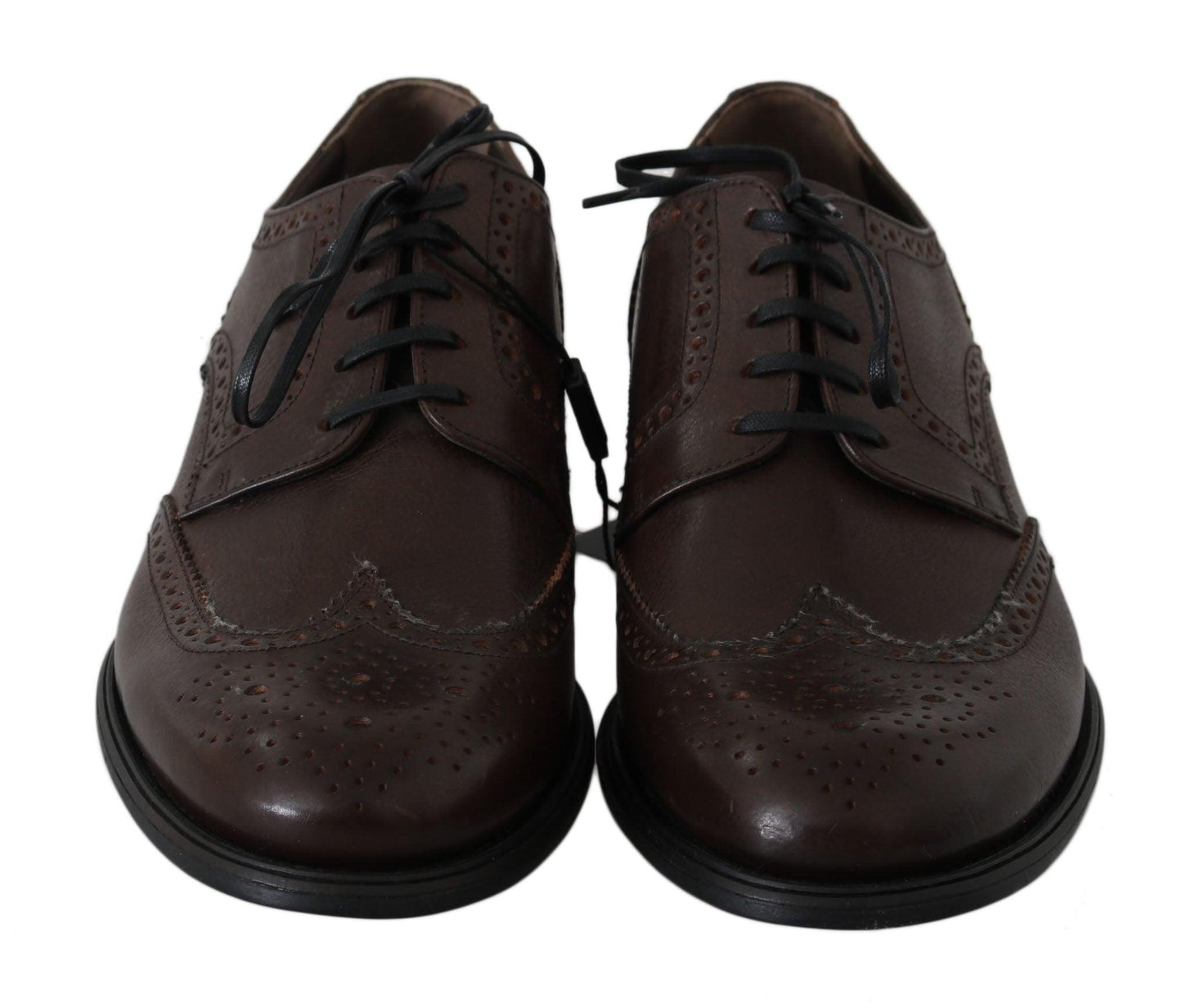 Dolce & Gabbana Elegant Brown Leather Derby Brogues - Arichezz.store