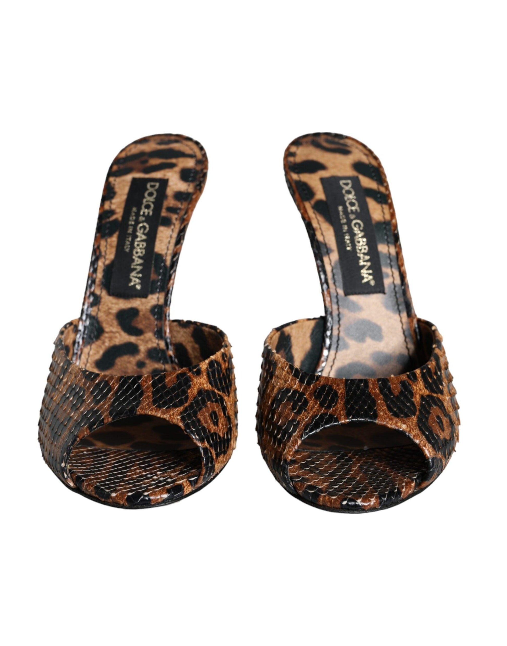 Dolce & Gabbana Brown Leopard Leather Slides Heels Sandals Shoes - Arichezz.store